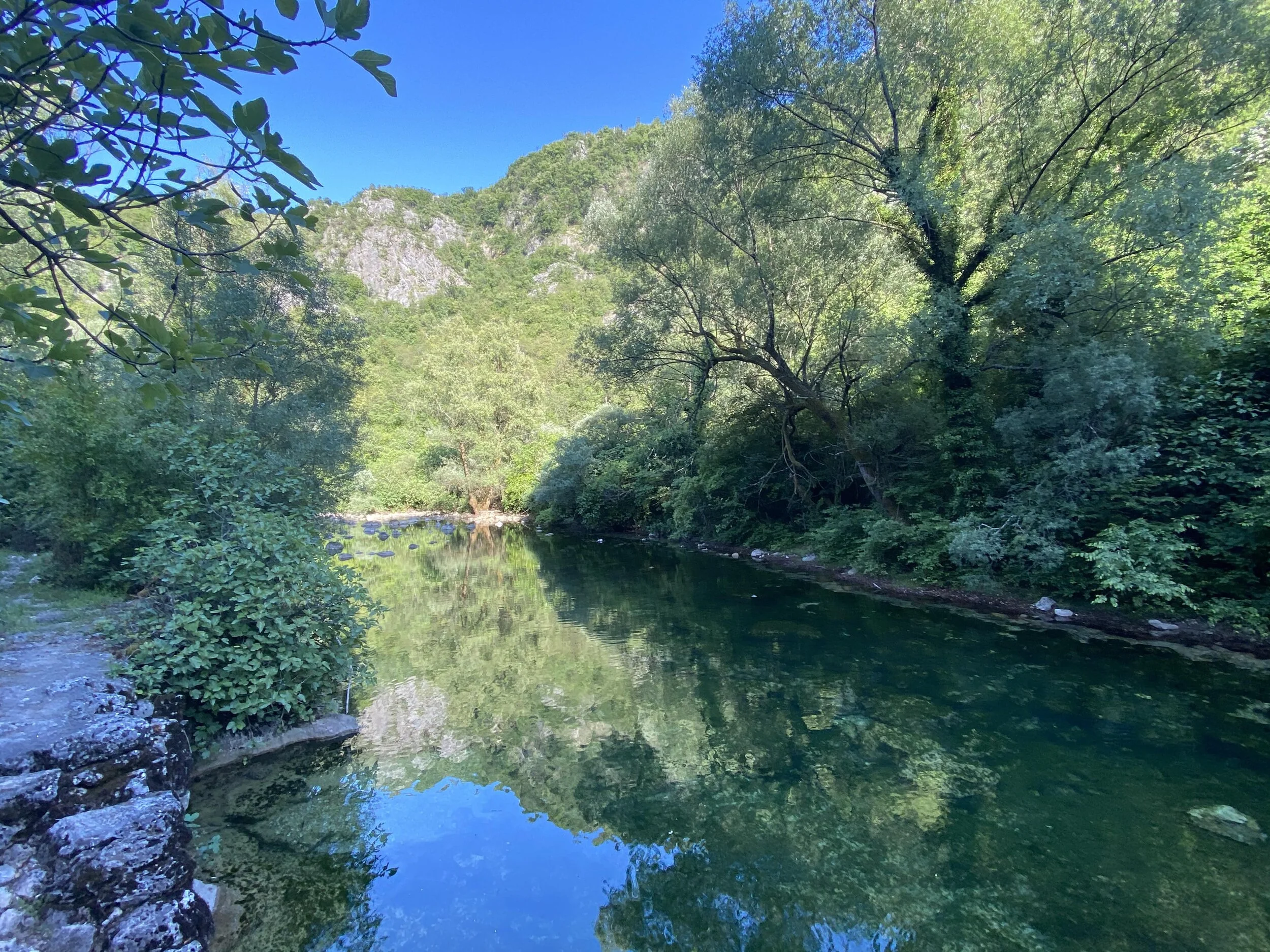 Jungle vibes in Montenegro :)