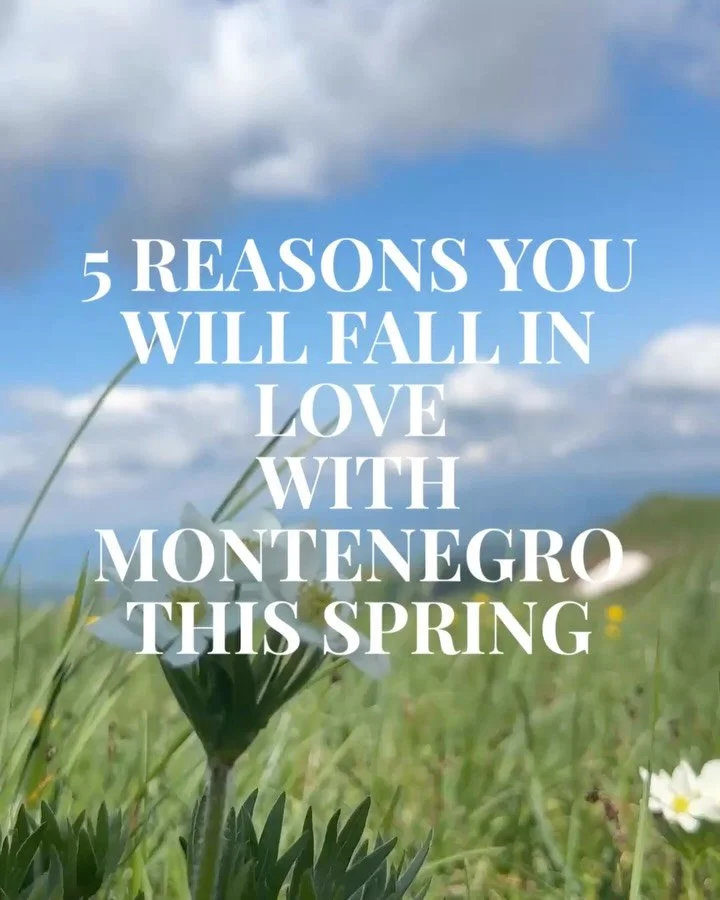 Spring in Montenegro just hits different.🌱

It&rsquo;s that moment when everything feels alive again, rivers rushing louder, nature blooming
brighter, and every corner inviting you to slow down and take it all in. From the peaceful
magic of Skadar L
