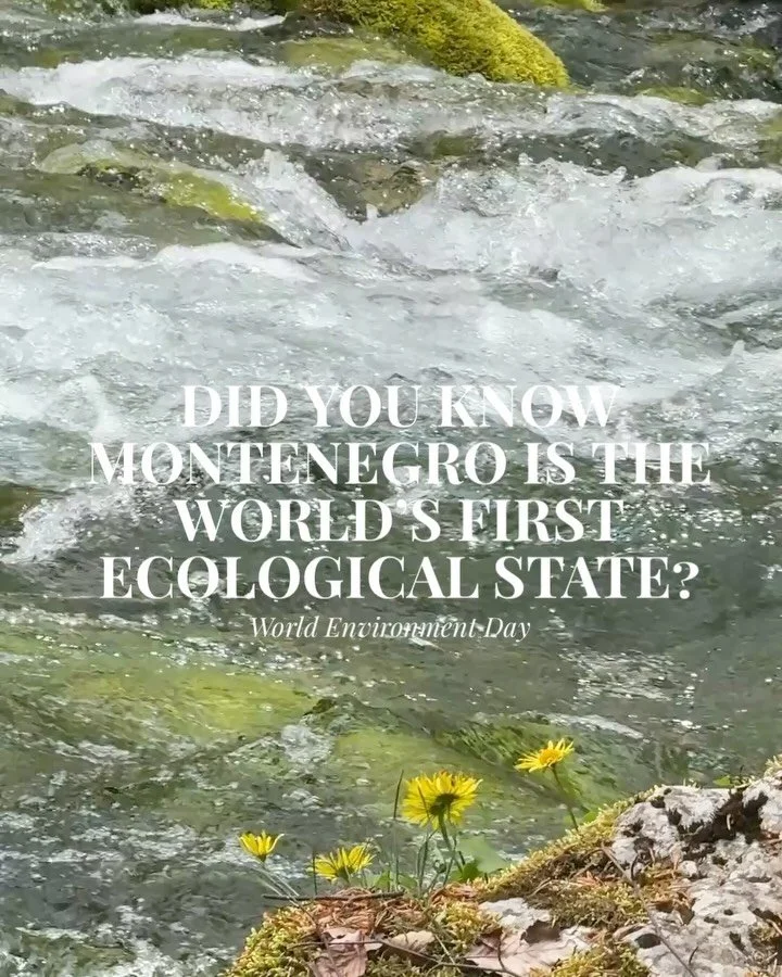 Happy World Environment Day.🌍🌱

It&rsquo;s easy to talk about Montenegro&rsquo;s beauty. The harder part is remembering not to take it for granted.

The beaches we return to every summer, the mountain peaks that leave us speechless, the forests, la