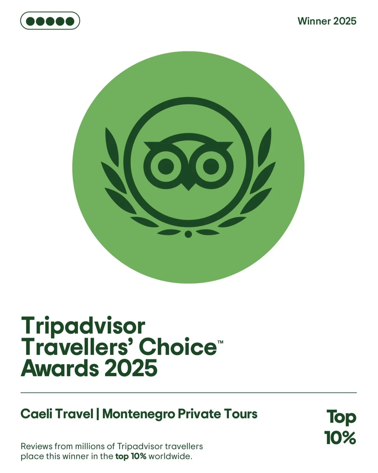 trip advisor award for 2025 for caeli travel