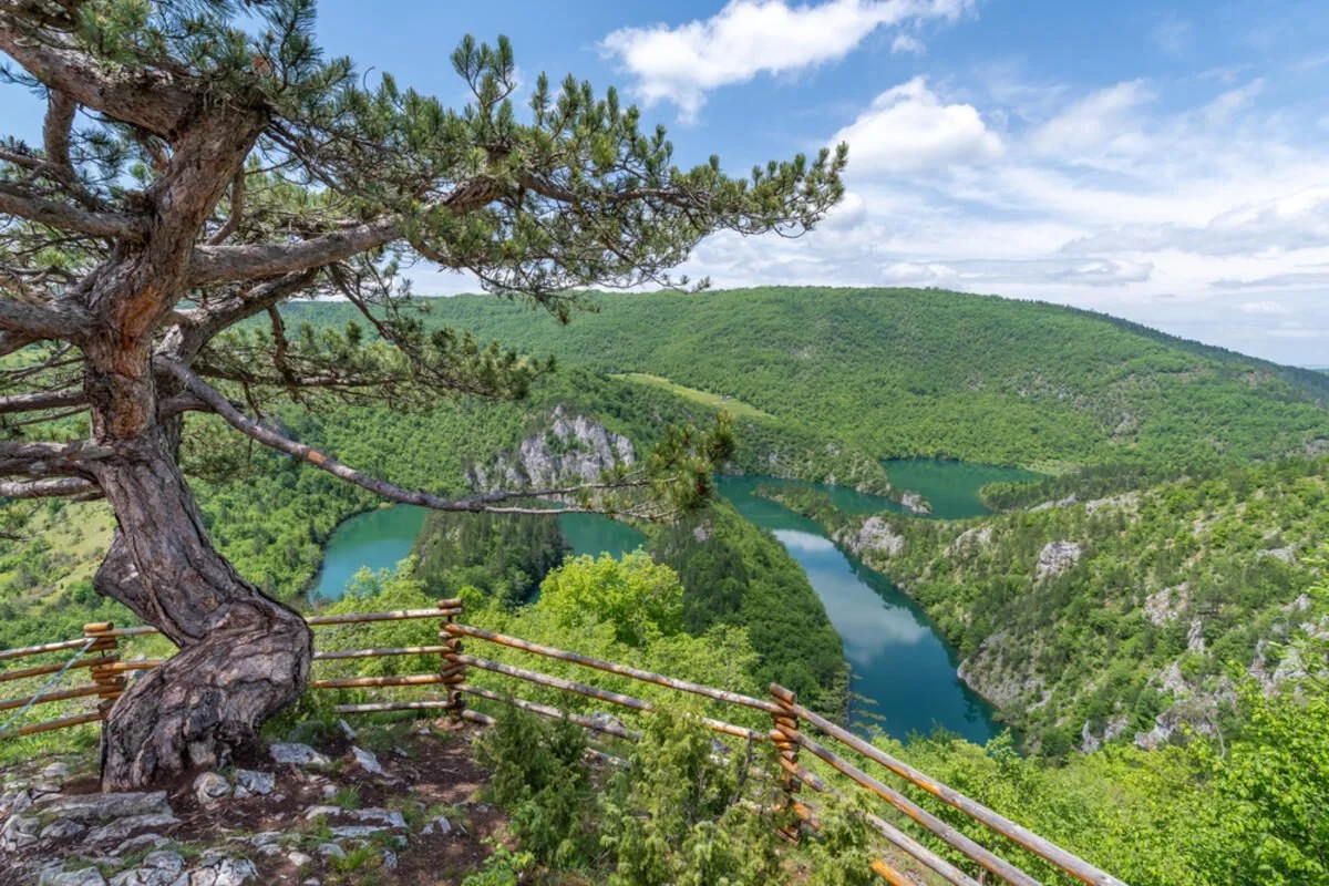 Our guests discovering the hidden north of Montenegro with Caeli Travel.