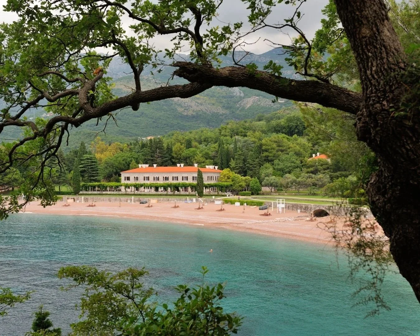 Miločer Beach with clear water and pine trees on the Montenegrin coast