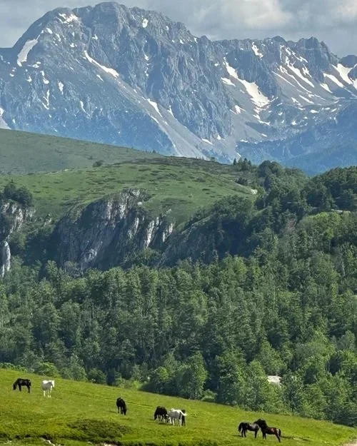 Biogradska Gora National Park and Mount Bjelasica in Montenegro.