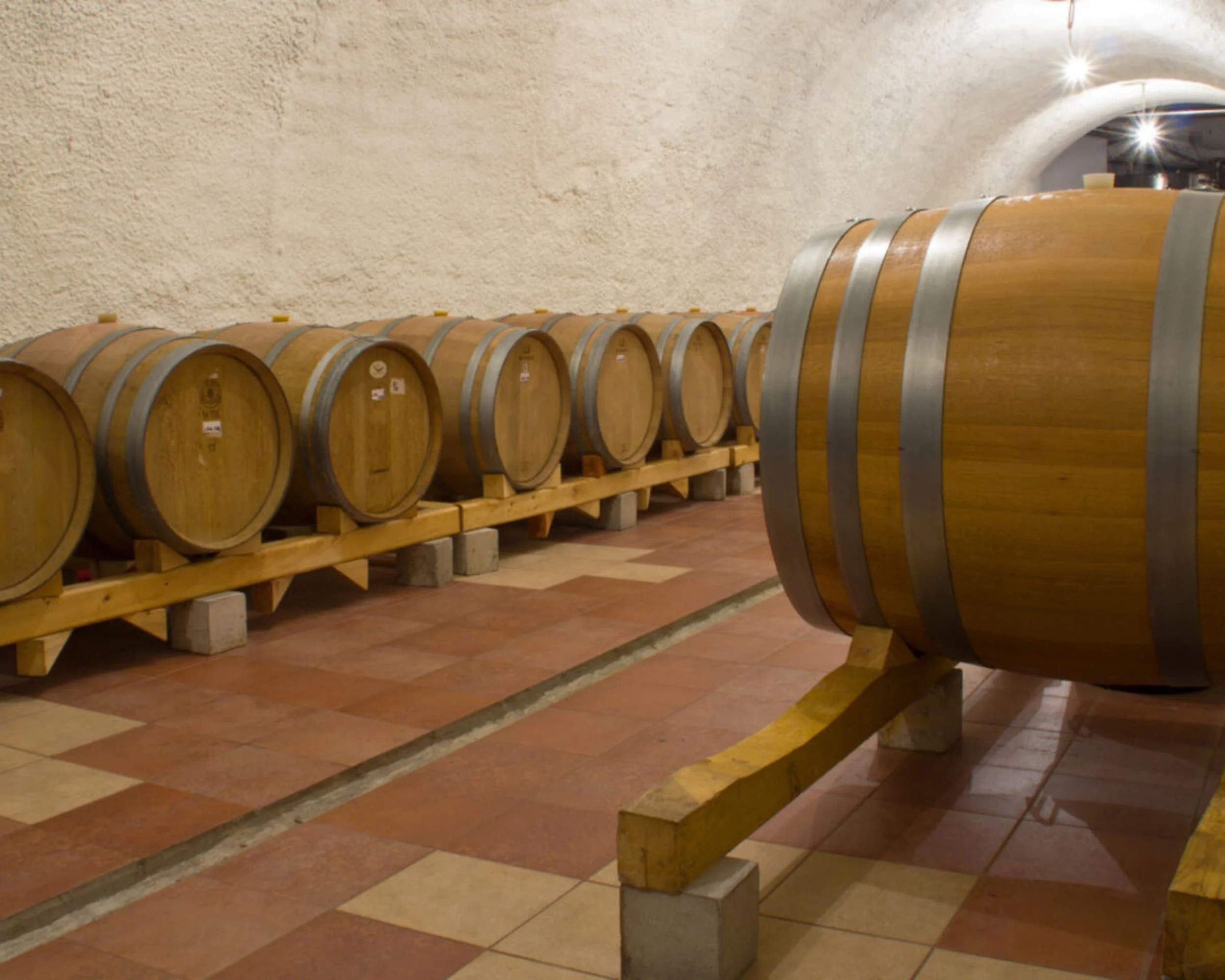Family Vucinic wine cellar