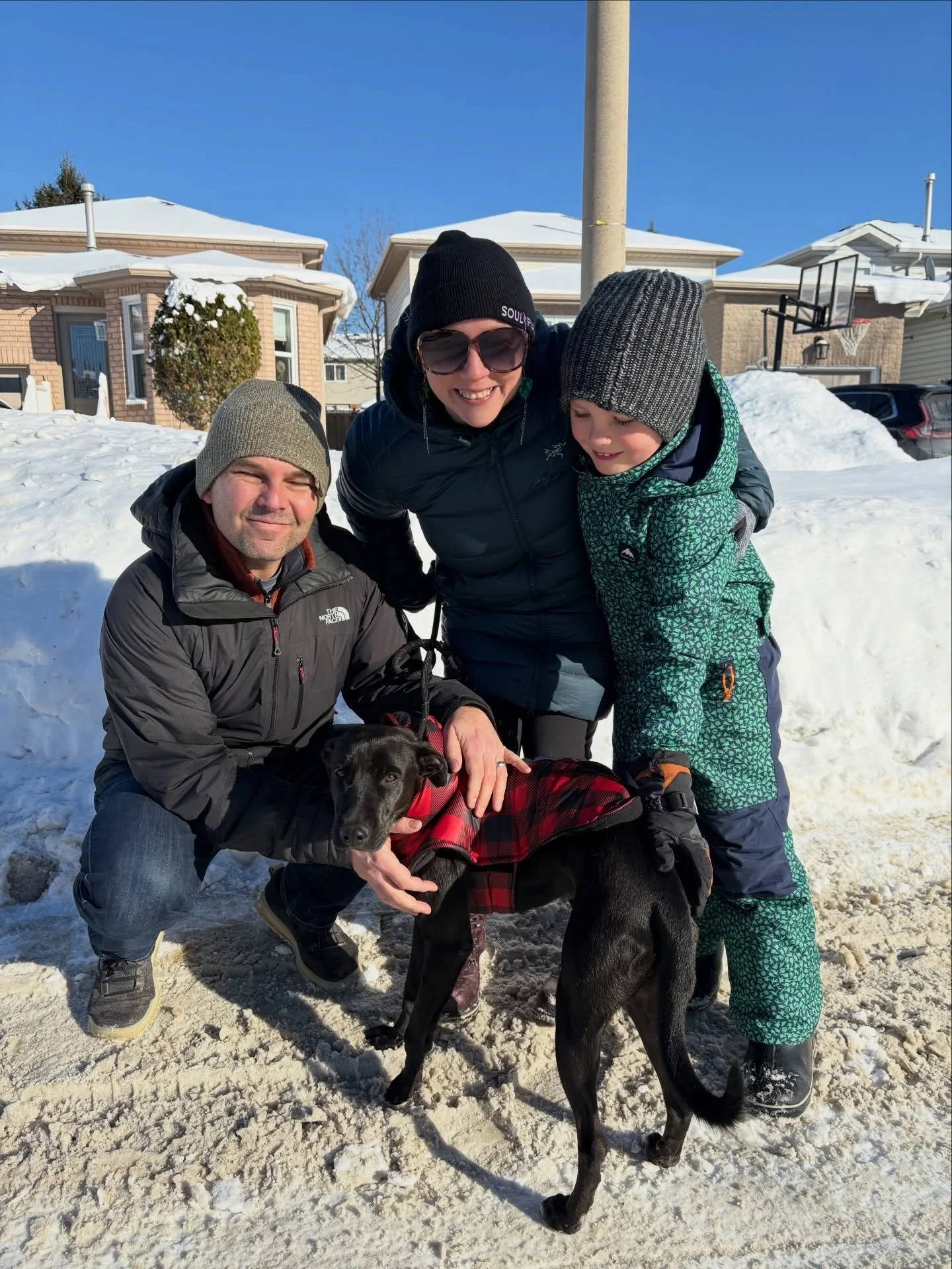 We finally did it. We got a dog. We rescued 1.5 year old &ldquo;Hex&rdquo; from St Maarten, the love child of many an island dog. And he is indeed Mr Lover Lover.

Sam loves animals and Dan&rsquo;s parents rescued dogs. Both my guys deserve some swee