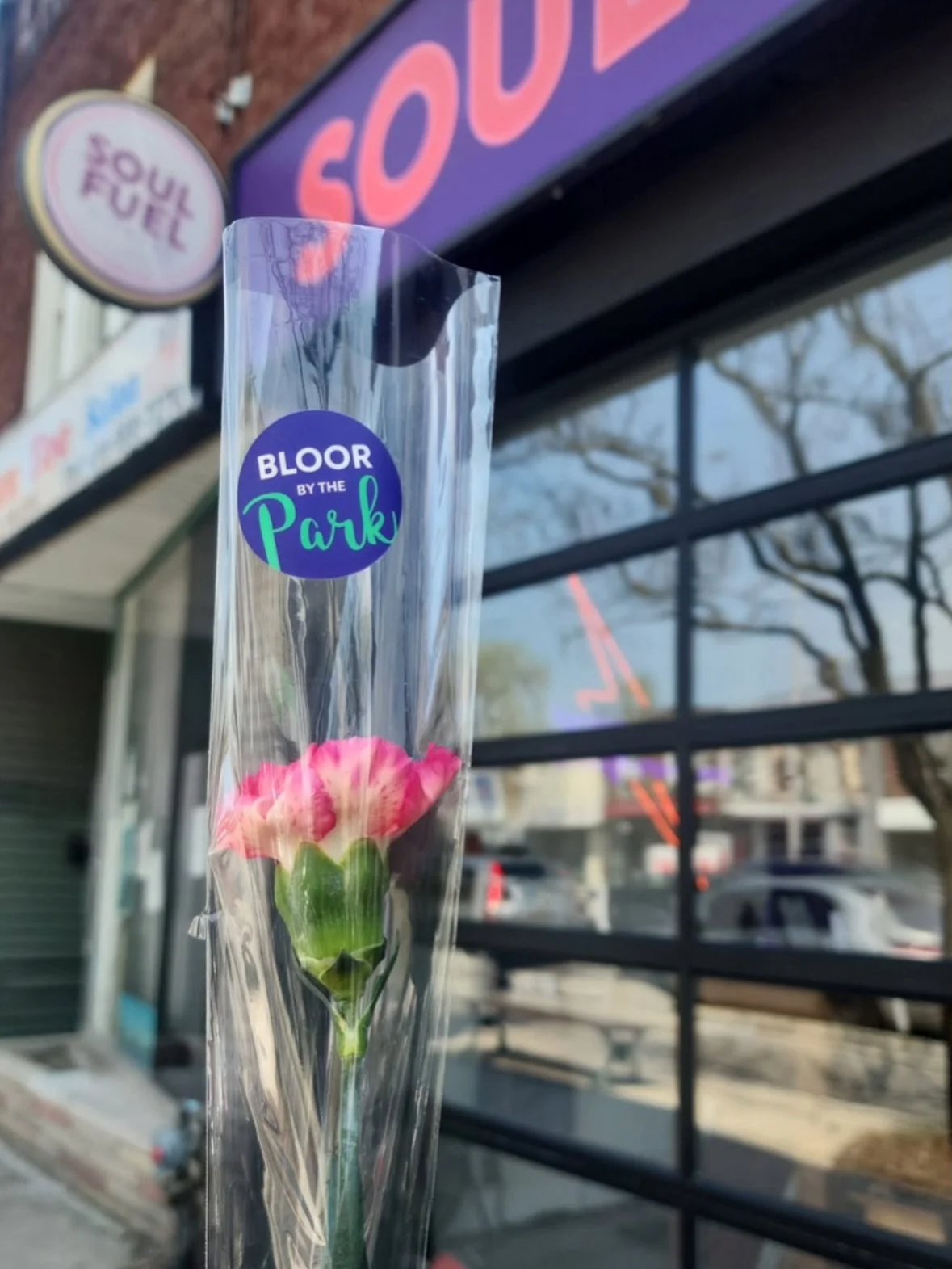 🪩PUR Spring Weekend🪩We have our regular 15 weekend classes&hellip; PLUS:

Saturday:
- Community Class 12pm with @marlsberg_23 
- Reformer Foundations Workshop on Saturday at 12:30pm with @_colettewright_ 

Sunday:
- @jsaphramovement is in town and 