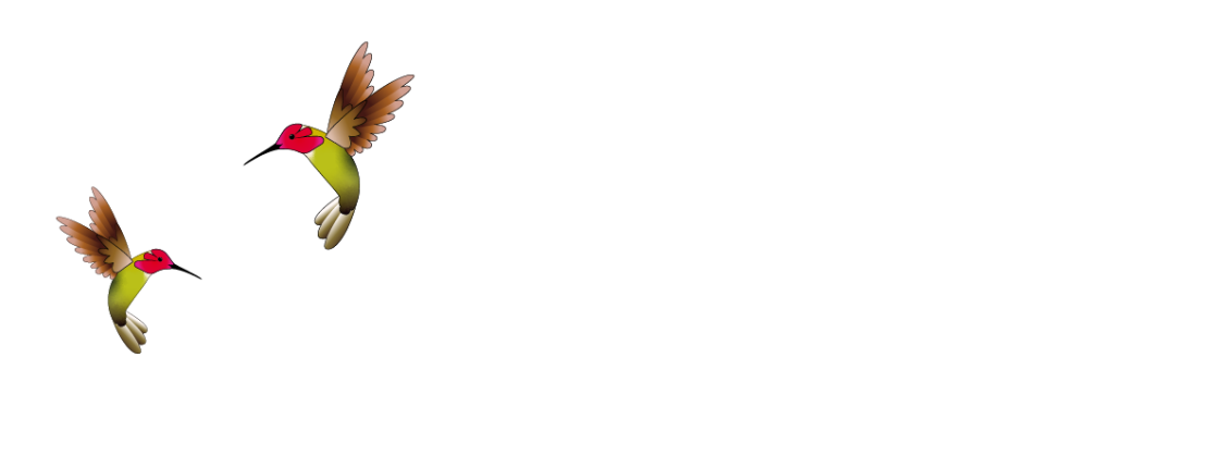 Mosaic Arts &amp; Music Festival