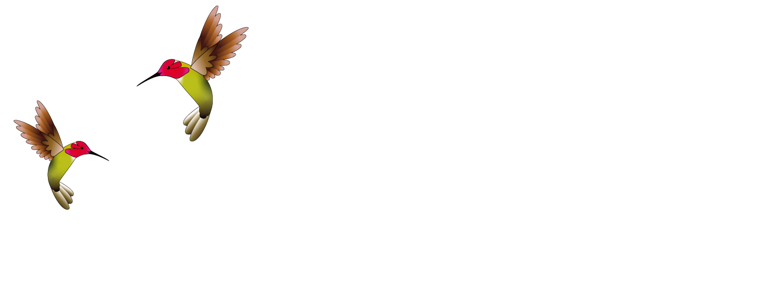 Mosaic Arts &amp; Culture Festival