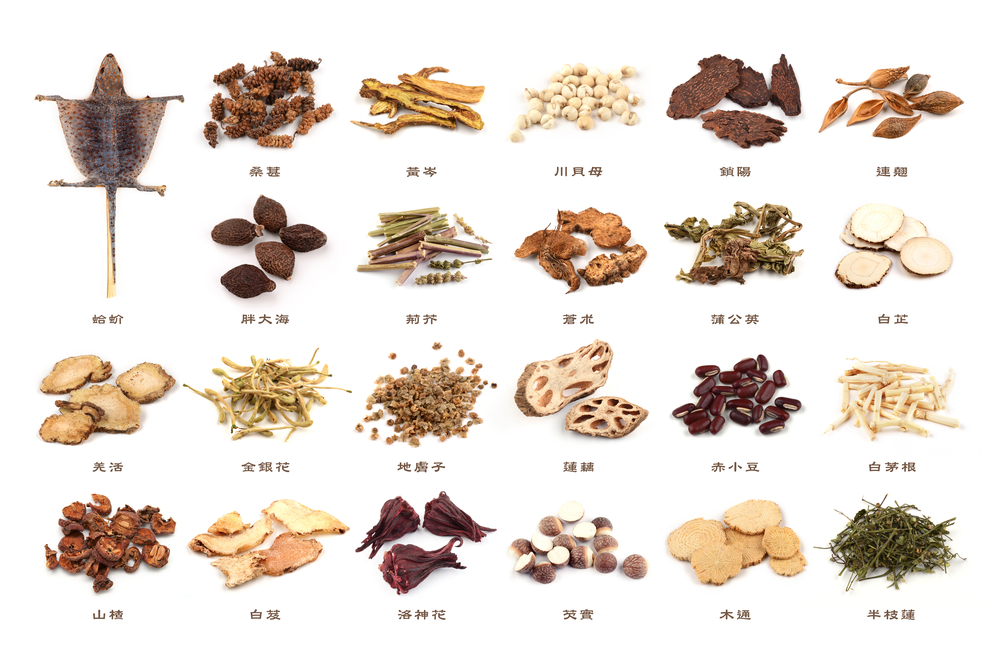 Traditional Chinese Herbal Medicine