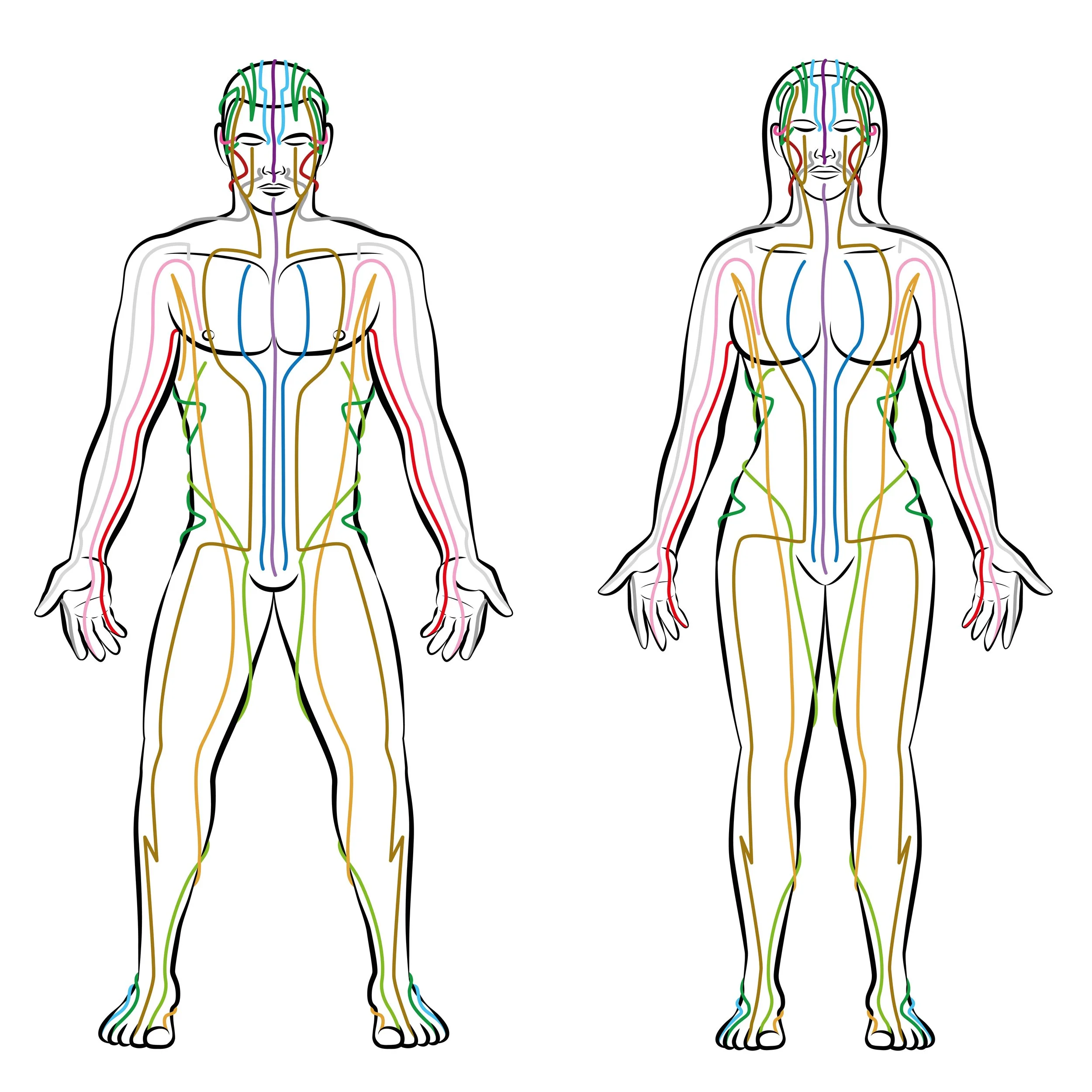 Various Acupuncture Styles We Use At Good Life Acupuncture And Herbs