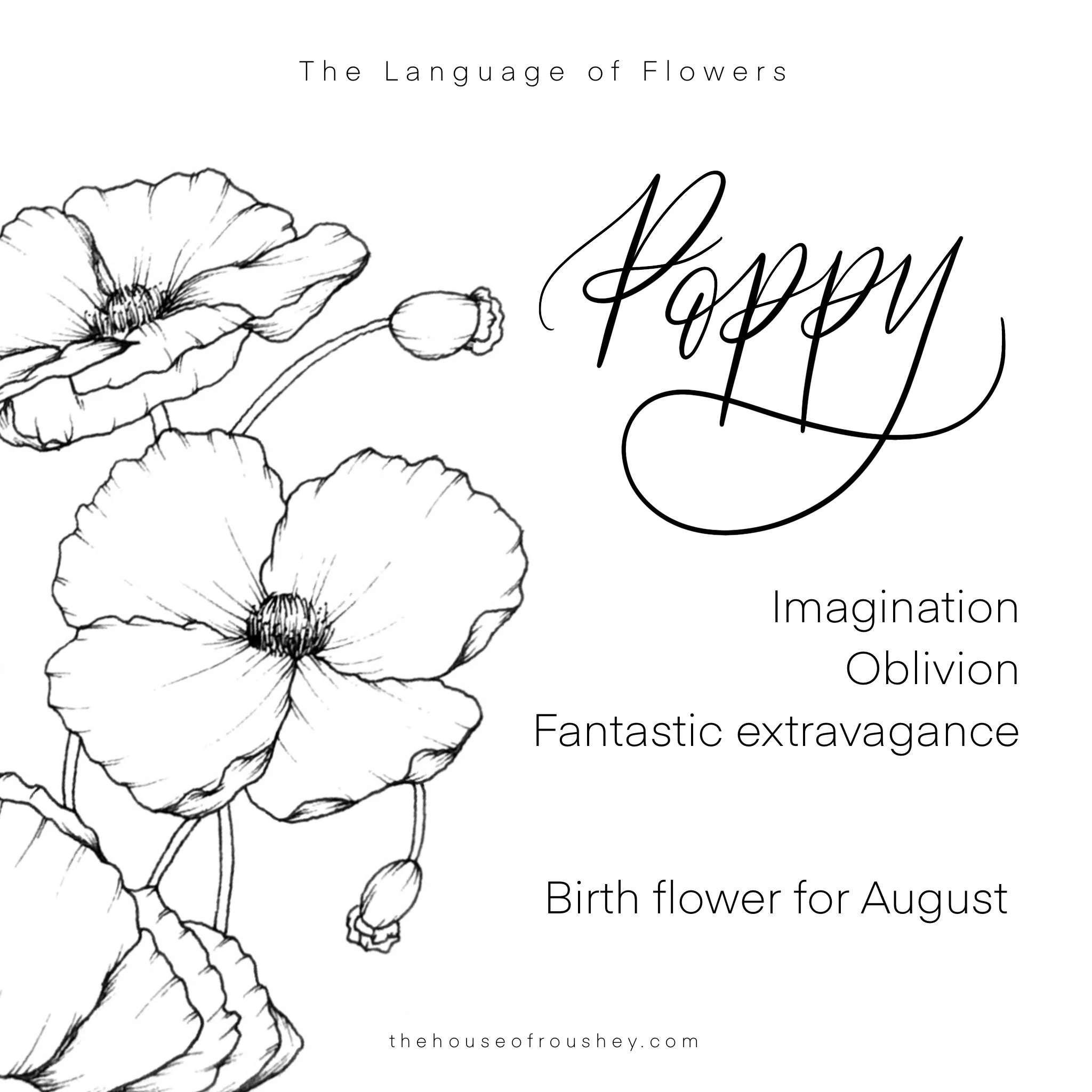 Florals &amp; Feels: Reimagining Fantastic Extravagance