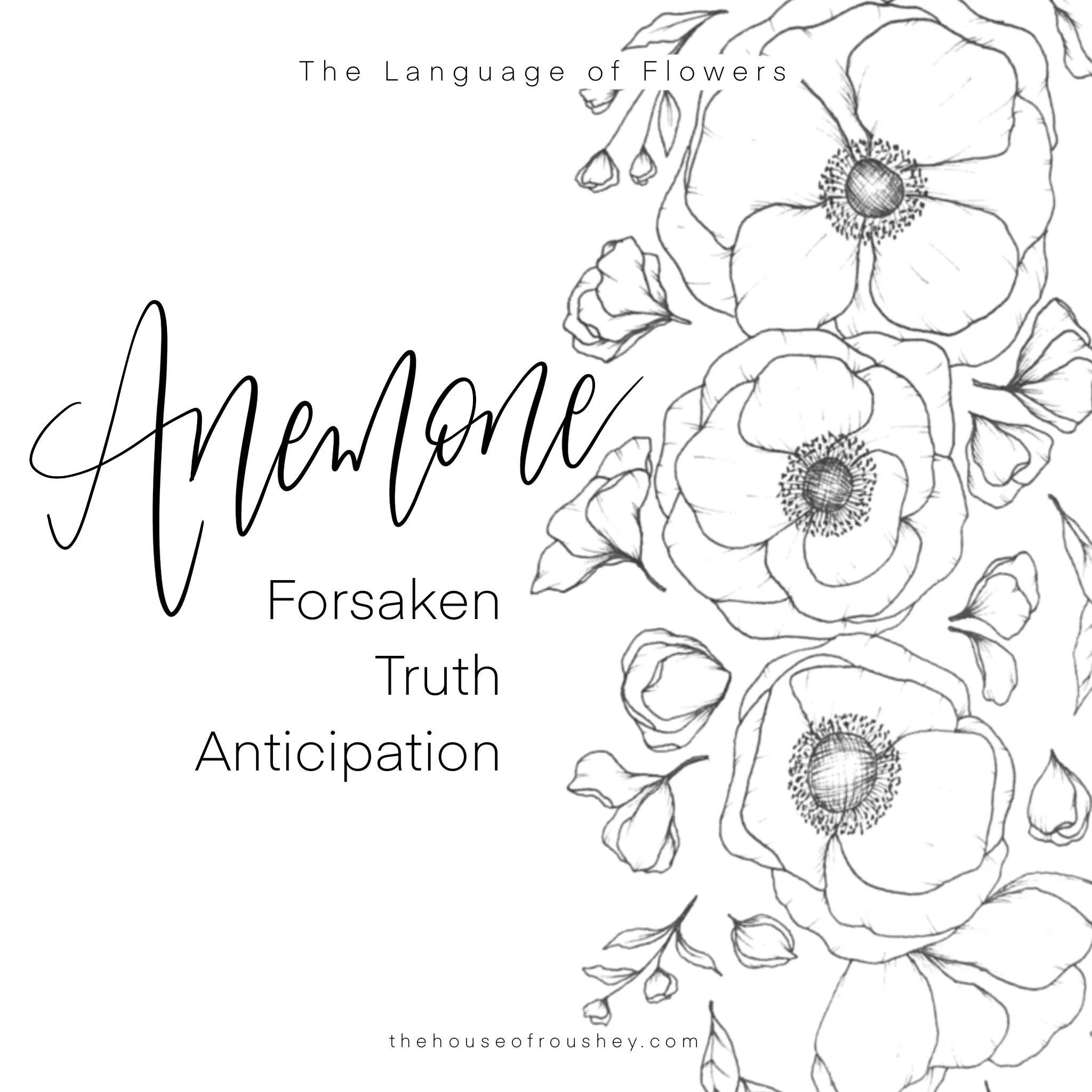 Florals &amp; Feels: Reframing Expectations