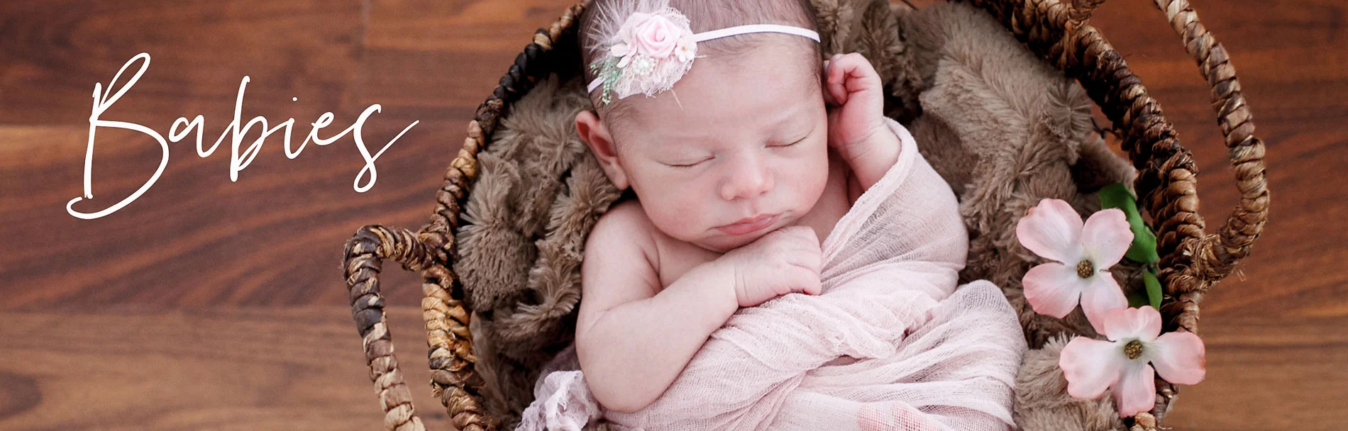 pricing-nicole-chaput-photography-babies-copy.jpg
