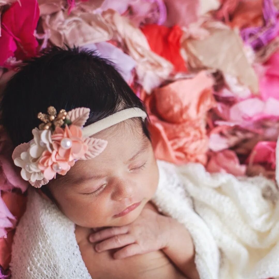 Baby M was such a delight! All that hair... And scroll for that smile!!! 🤗

 #babyphotography #massachusettsbabyphotographer #babyinabasket #posednewborn #nicolechaputphotography #nicolechaputportraits #nicolechaputnewborns #letthembelittle #thatsda