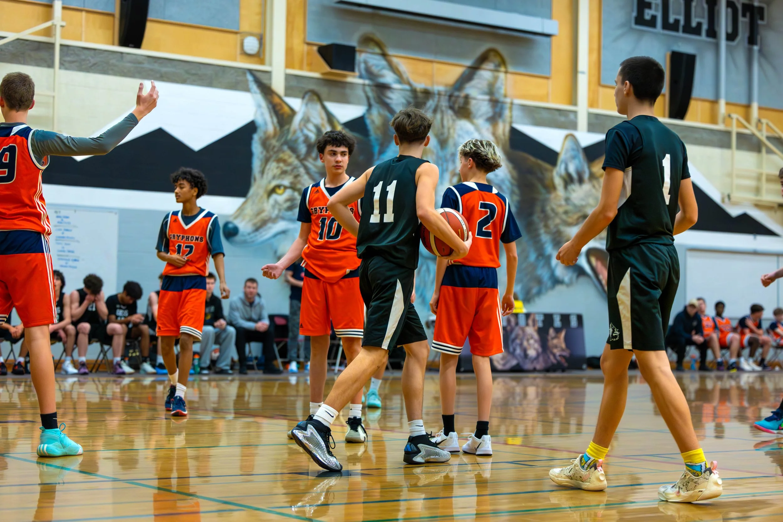 Young basketball players on the court during a game, with some sitting on the bench and a mural of a wolf in the background.