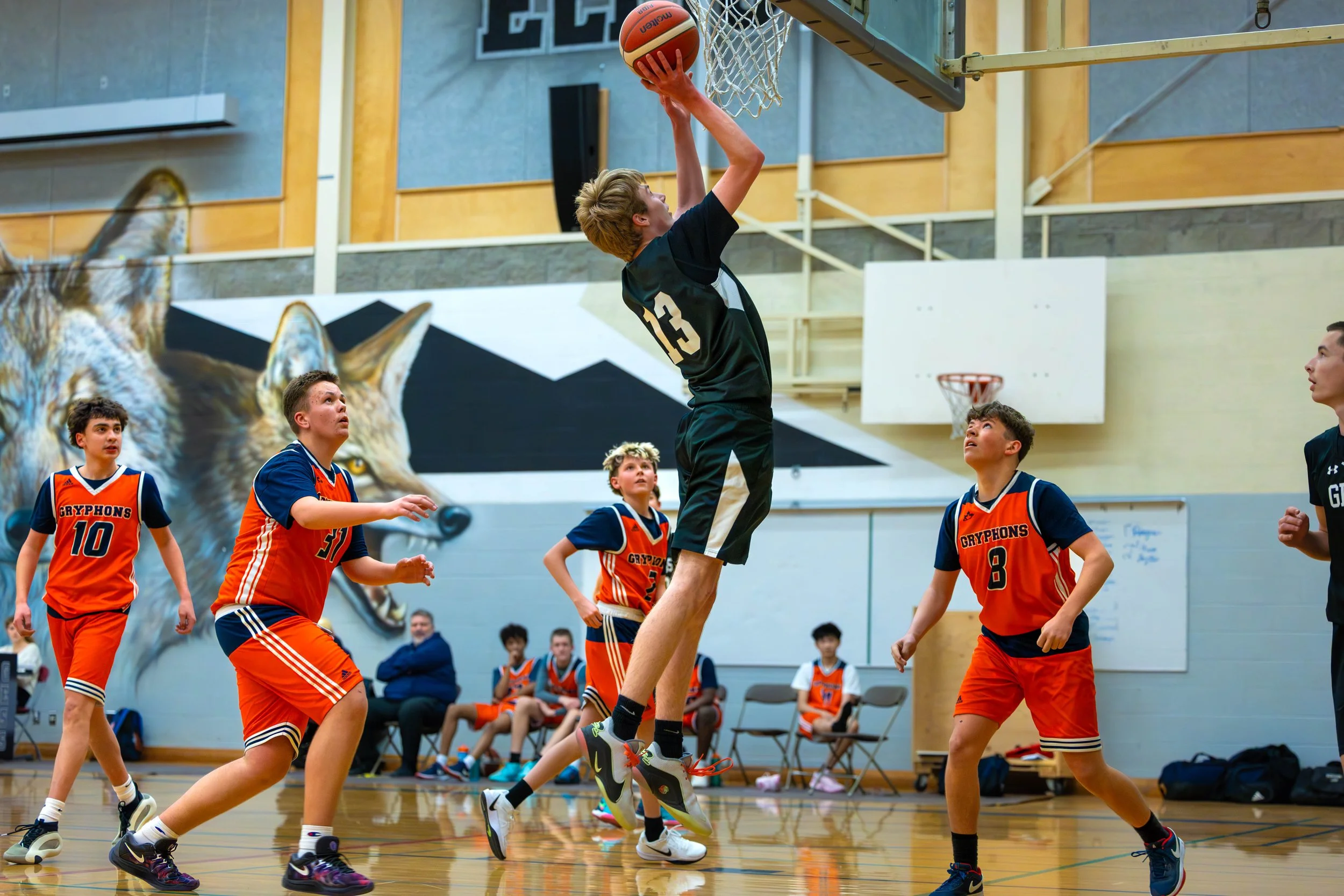 A youth basketball player in black jersey number 13 jumps to make a shot while teammates and opponents watch in a gymnasium with a wolf mascot mural in the background.