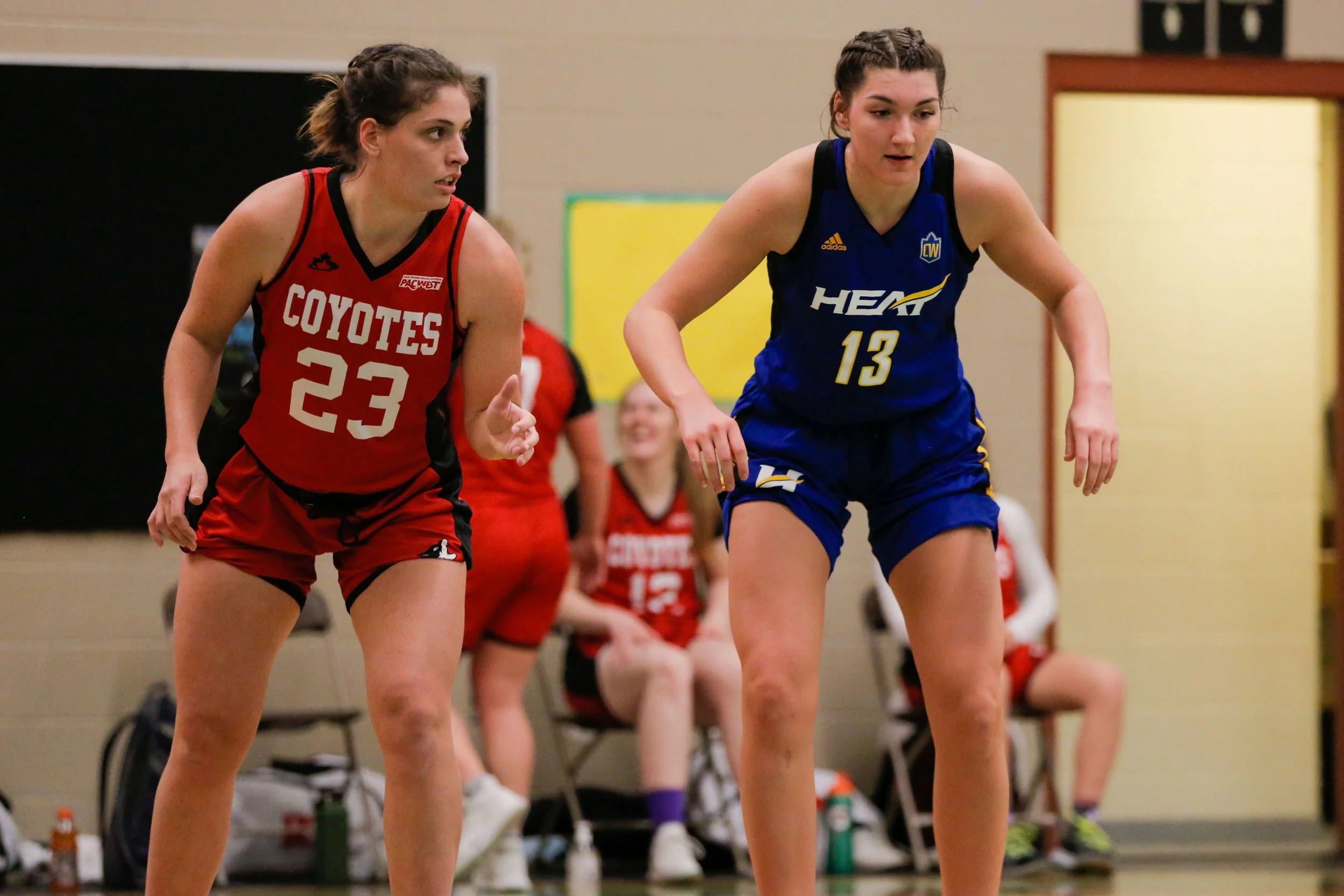 Two female volleyball players, one in a red uniform with number 23 and the other in a blue uniform with number 13, are on a court during a match, with teammates sitting on chairs in the background.