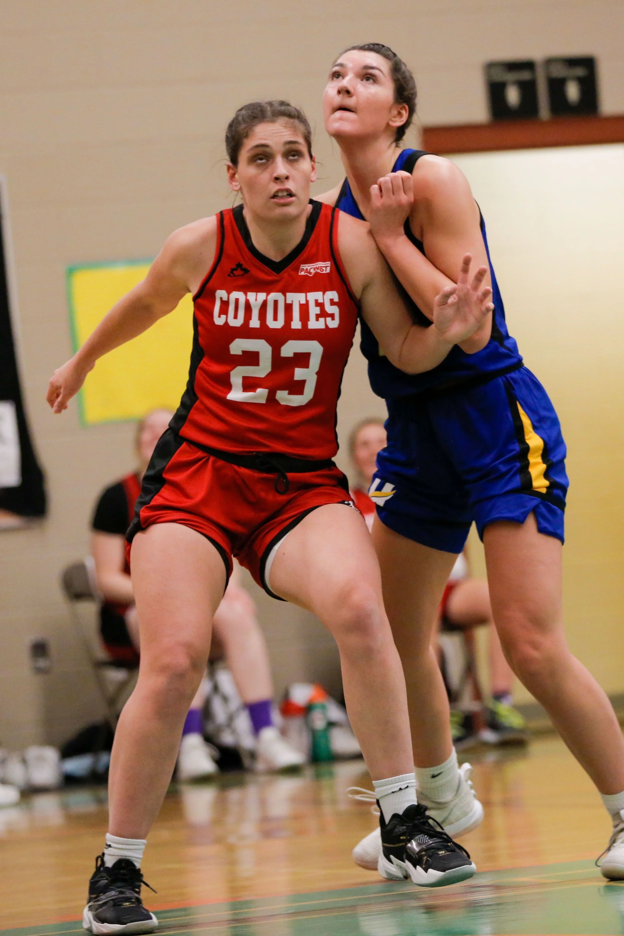 Two female basketball players competing for position during a game, one in a red and black uniform with number 23, and the other in a blue and yellow uniform.