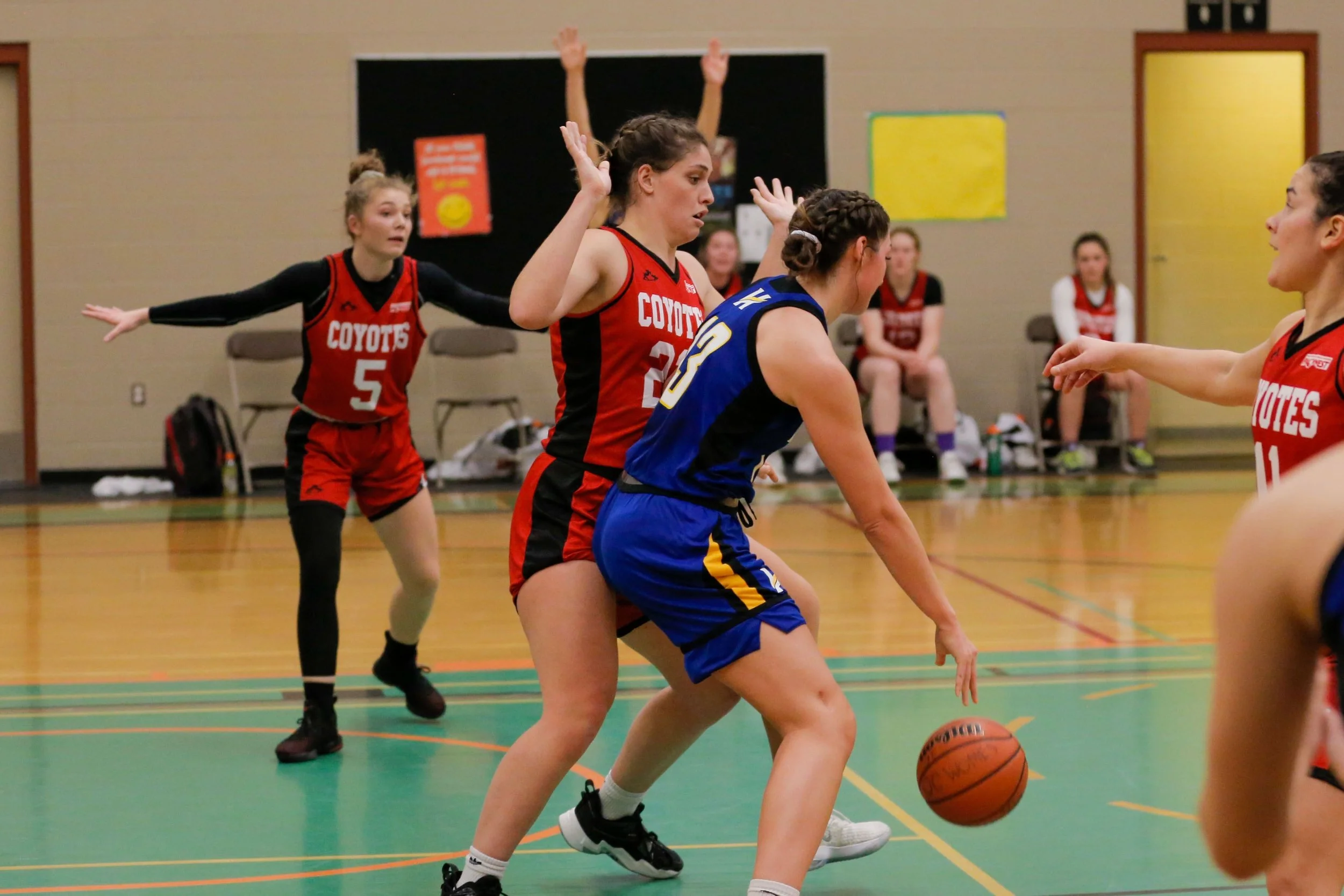 Girls playing basketball on an indoor court, with one girl in a blue jersey dribbling the ball while others in red jerseys try to defend.