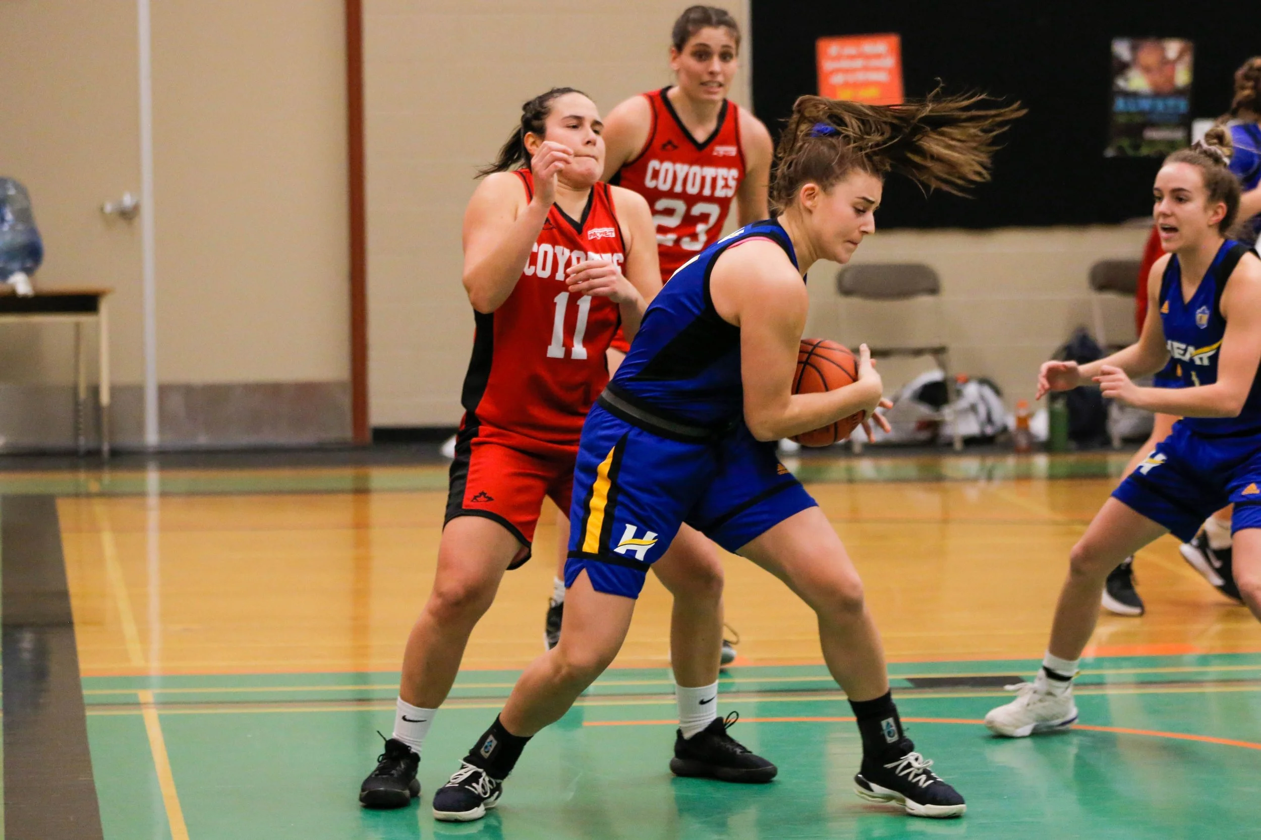 A women's basketball game in progress, with players from the Coyotes and another team competing for control of the ball on an indoor court.