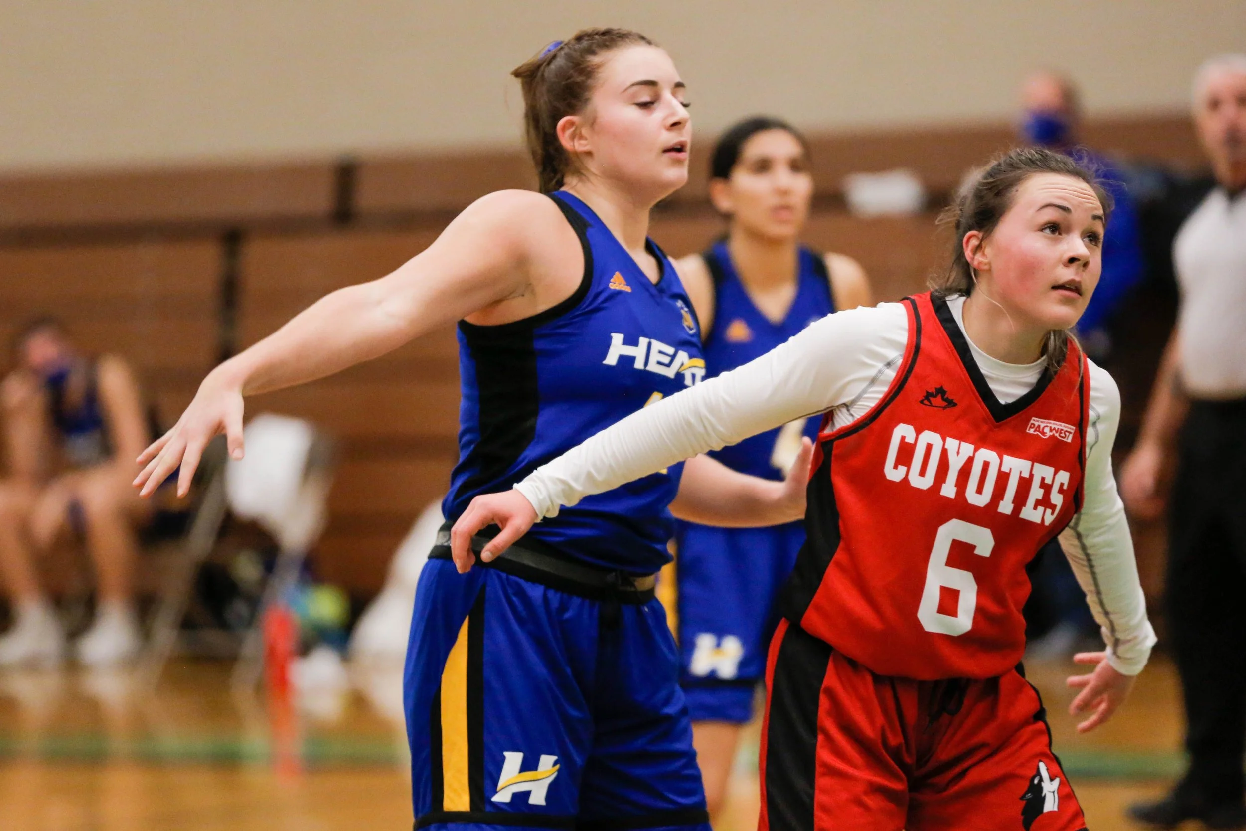Two female basketball players competing during a game, one wearing a blue uniform and the other wearing a red uniform with the number 6.