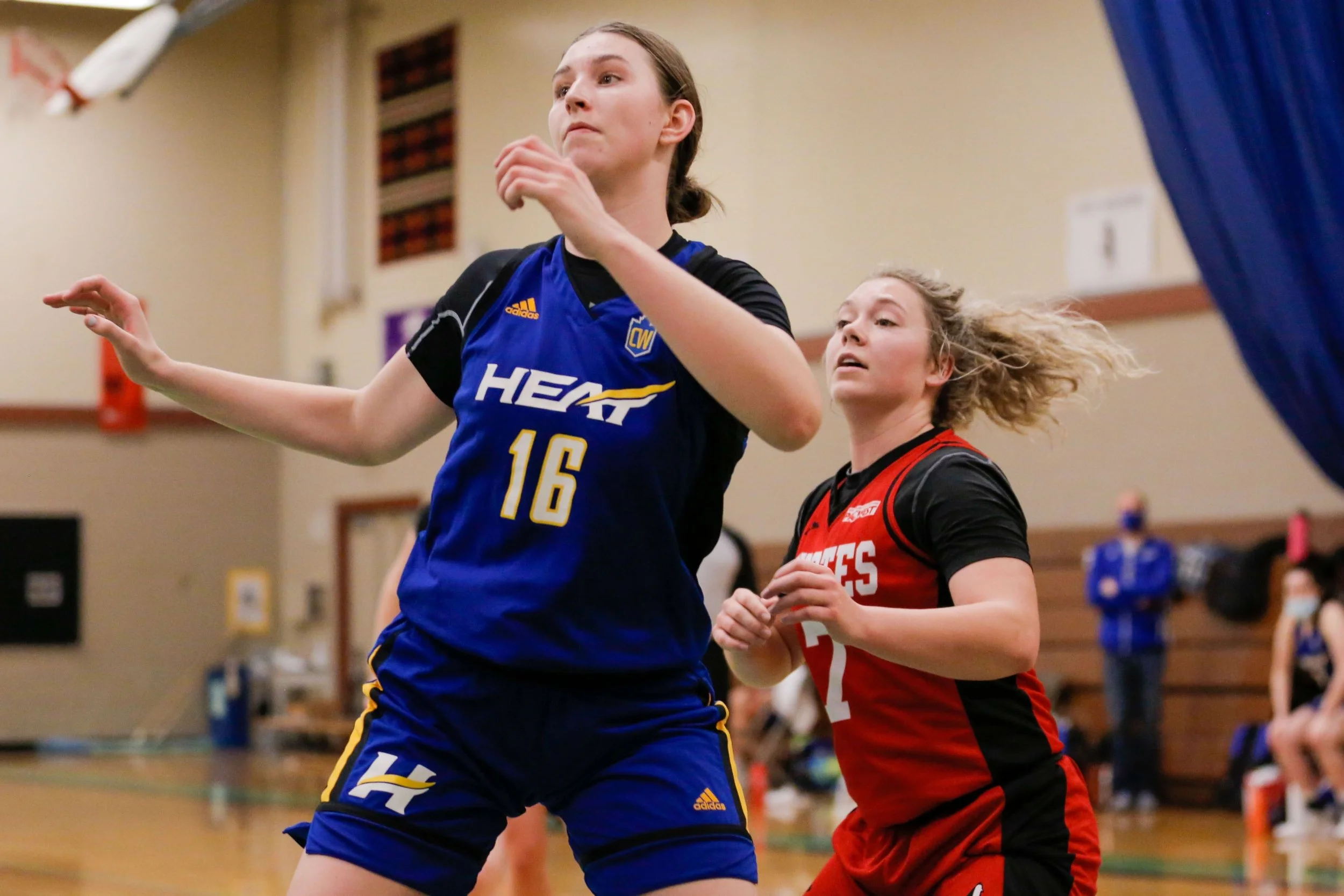 Two female basketball players competing for the ball during a game. One is wearing a blue jersey with the number 16, and the other is wearing a red jersey with the number 2. The game is played indoors in a gymnasium.