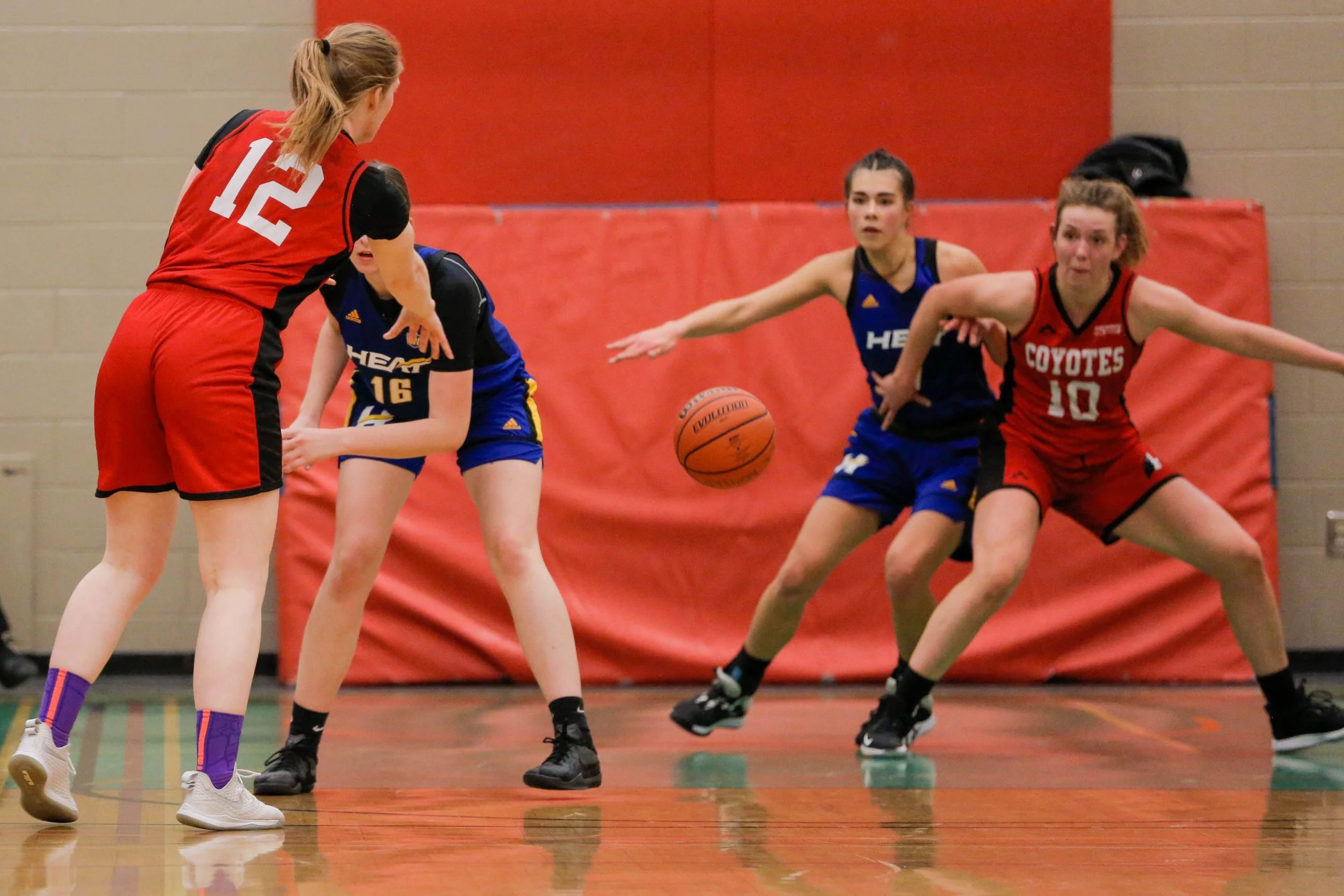 Girls playing basketball in a gymnasium, with one girl in a red jersey with number 12 and two girls in blue jerseys reaching for the basketball, which is midair.