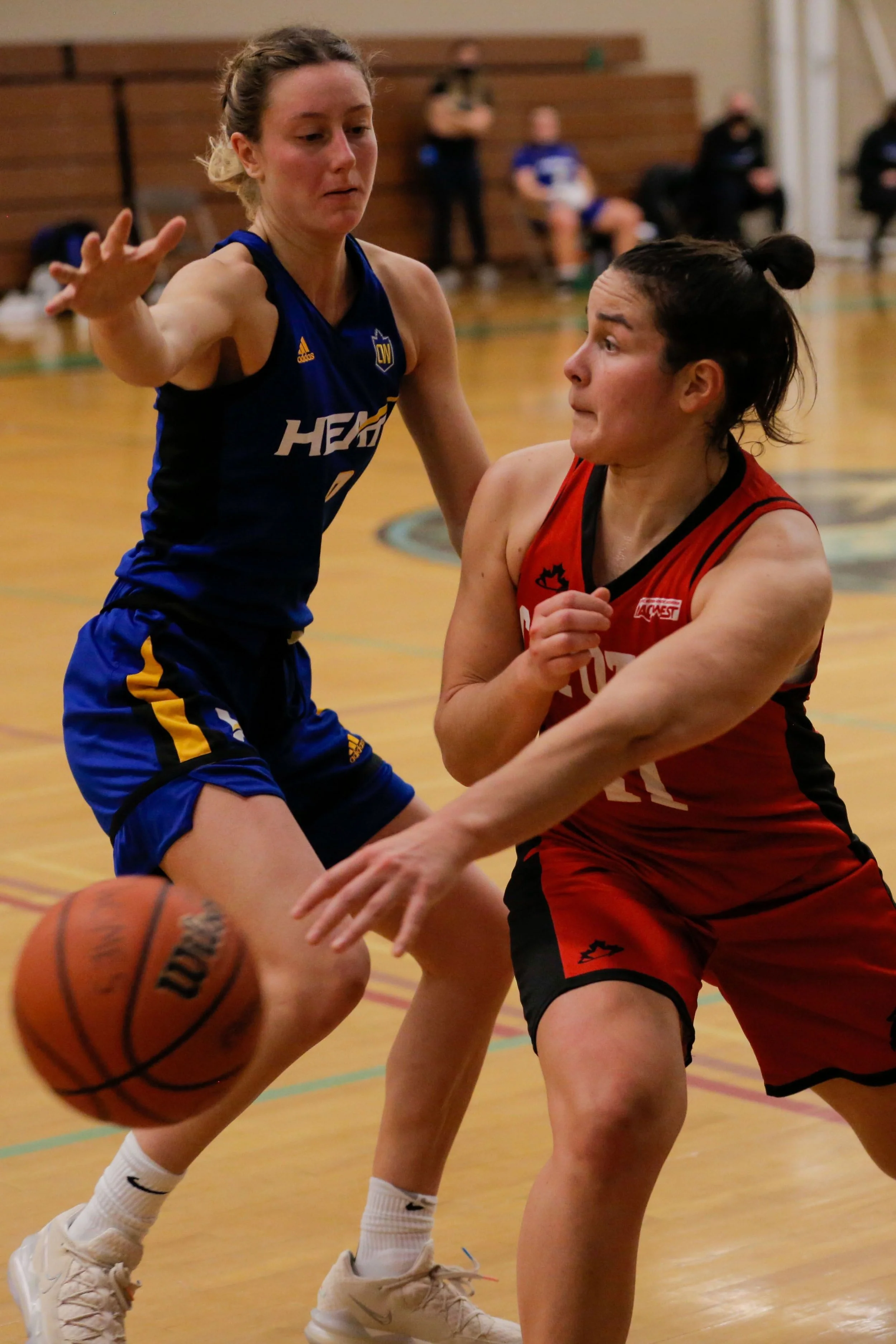 Two female basketball players compete for the ball during a game. One player in a blue jersey is reaching out, while the other in a red jersey is trying to protect the ball.