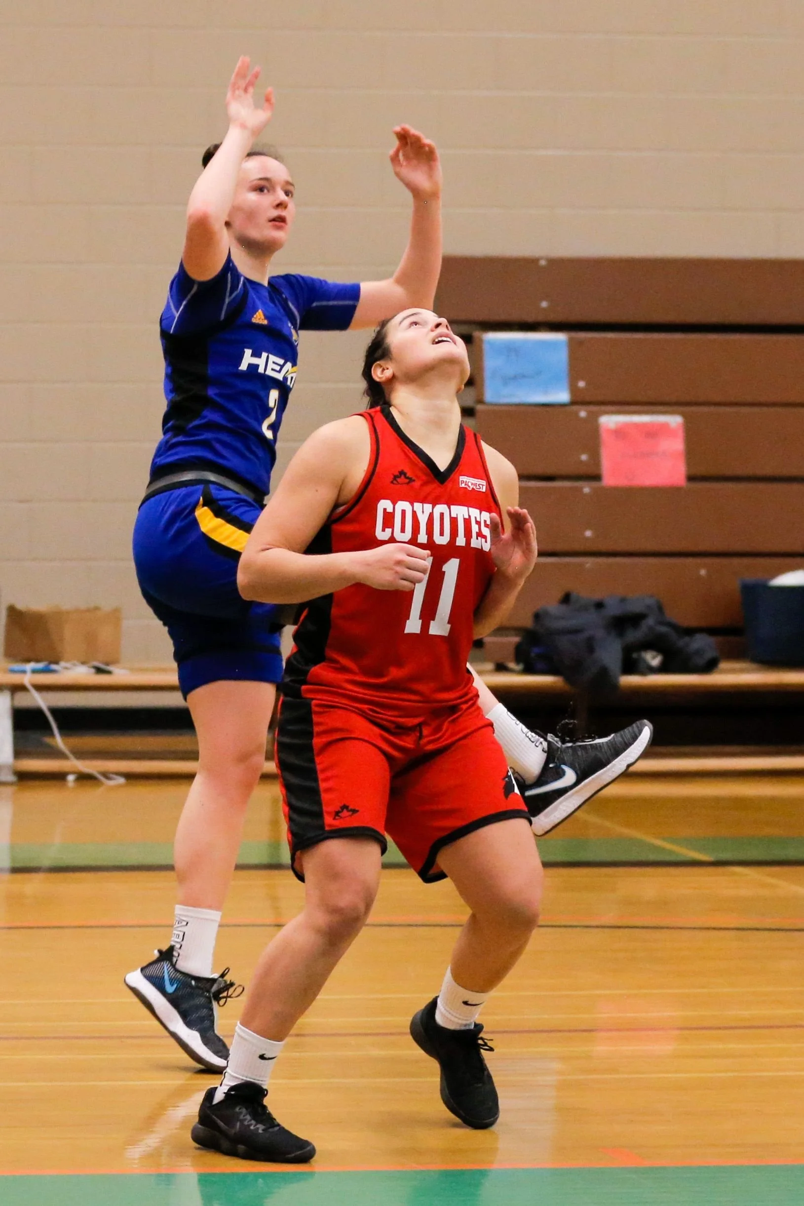 Two female basketball players, one in a blue uniform and the other in a red uniform, compete for position on the court during a game. The player in red is looking upward, while the player in blue is reaching up with both hands.