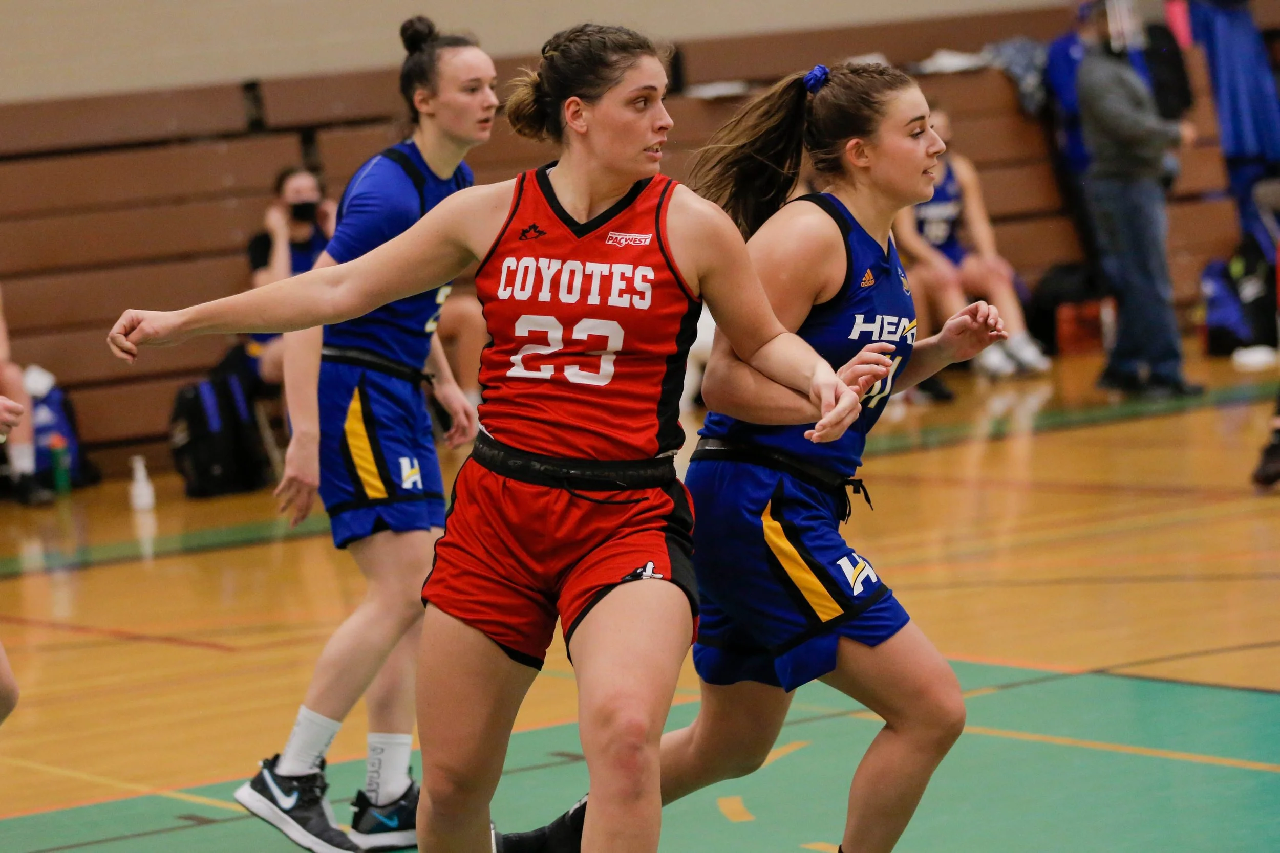 Two female basketball players are running on the court during a game; one is wearing a red jersey with the word 'Coyotes' and the number 22, the other is in a blue jersey with yellow accents.