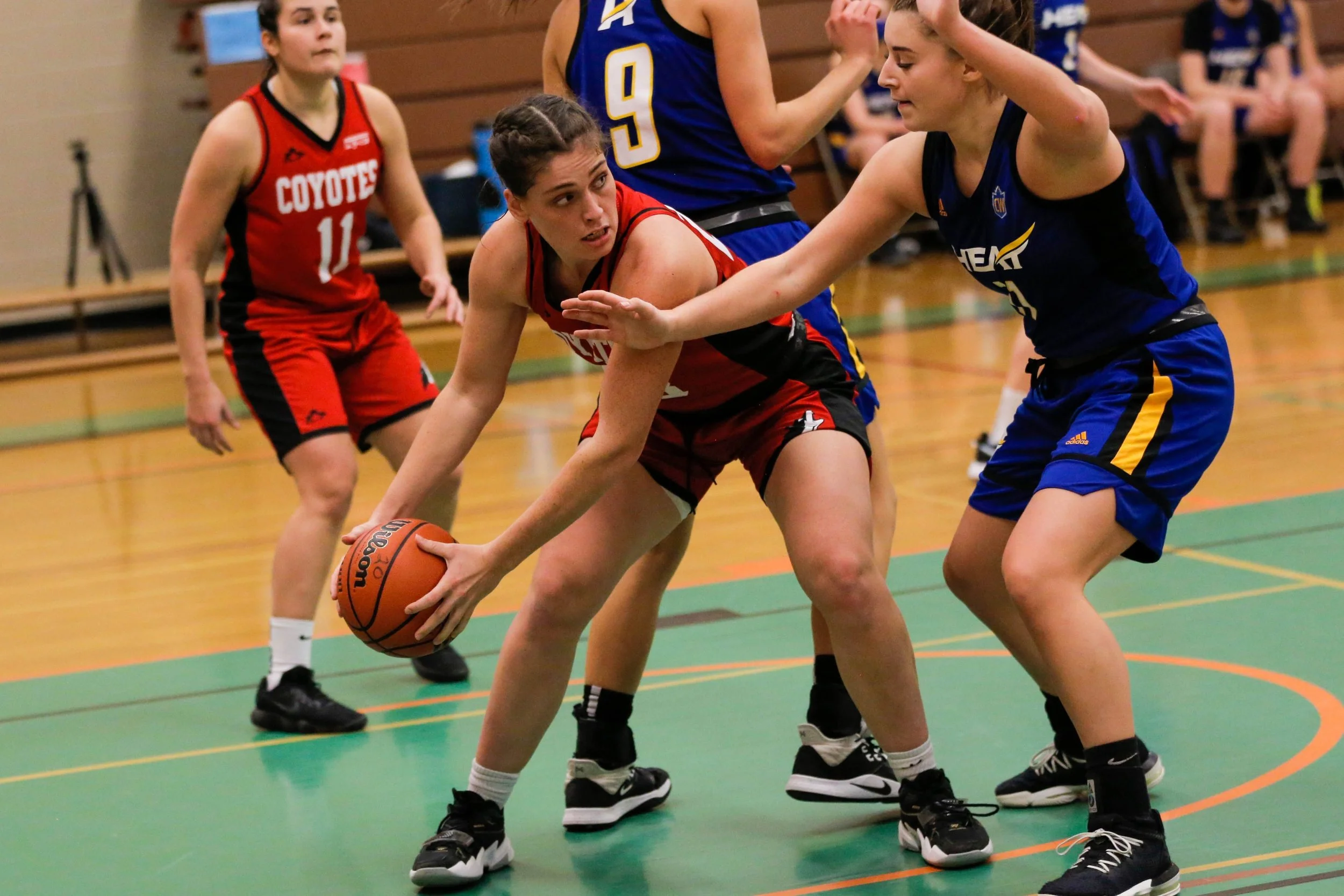 Women playing basketball on an indoor court, with one player in red attempting to hold the ball while another player in blue defends.