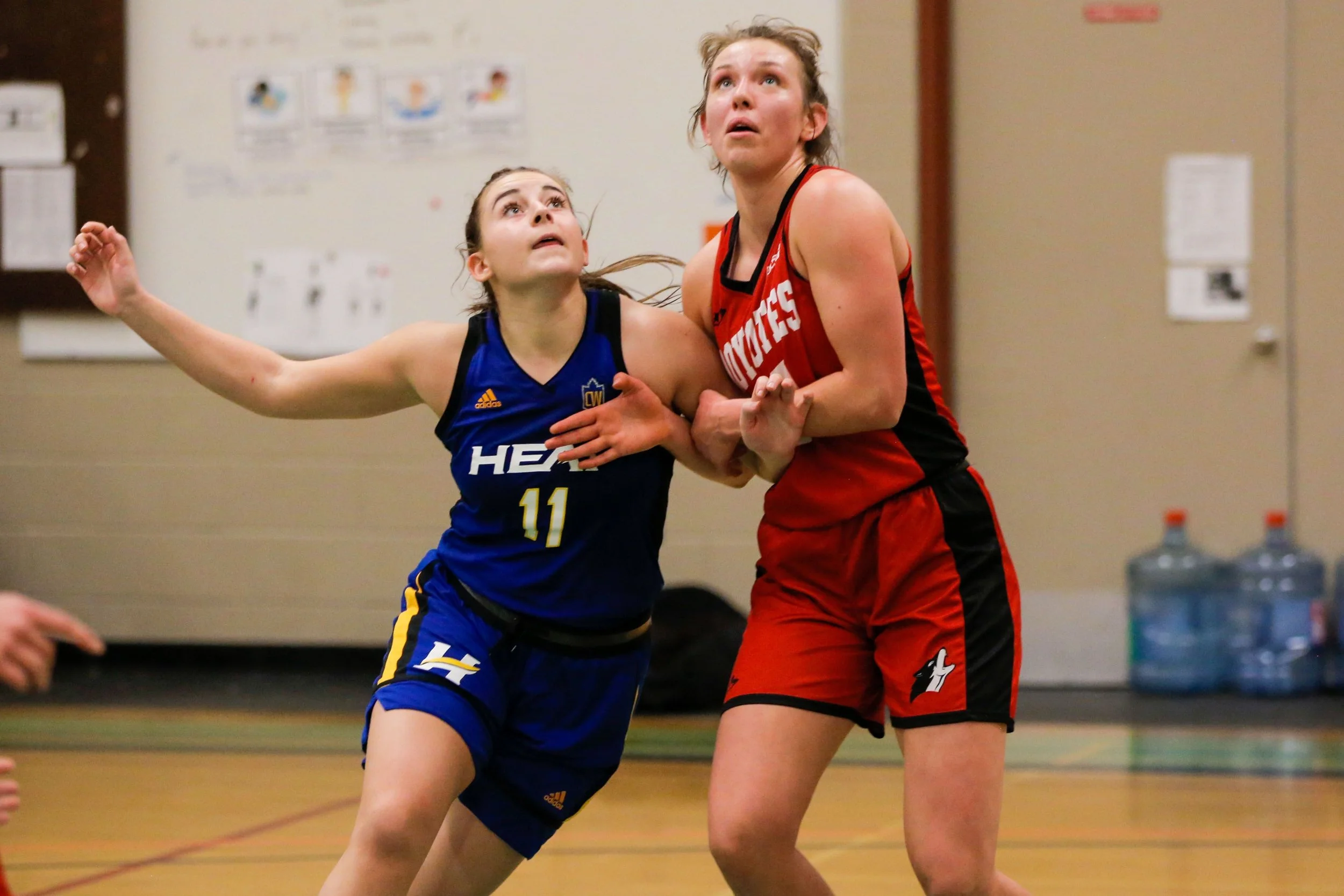 Two female basketball players are engaged in a tense moment during a game inside a gymnasium. One player in a blue uniform with the number 11 is reaching up with her right arm, looking upwards, while the other player in a red and black uniform is hol