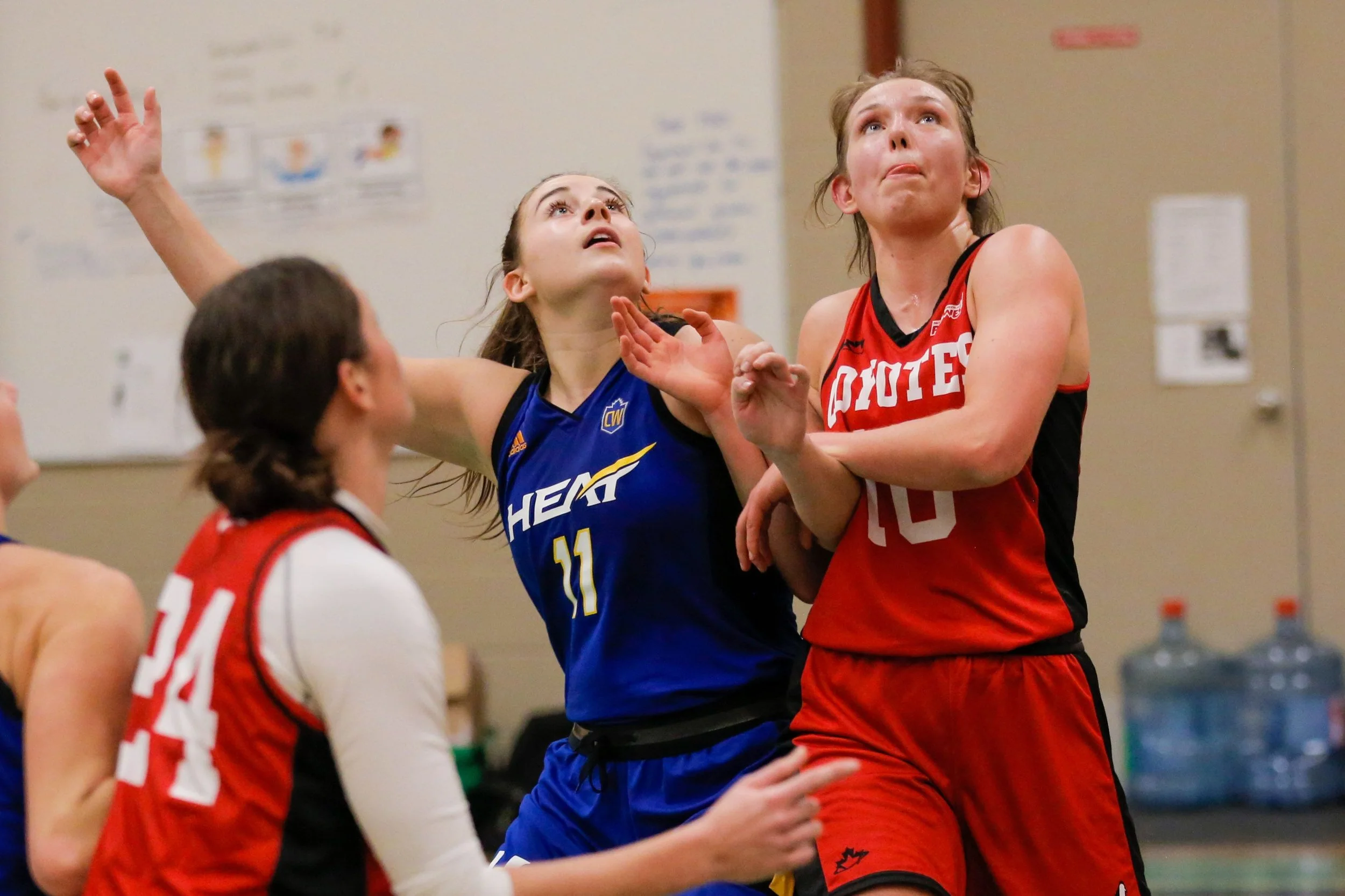 Two female basketball players, one in a blue uniform and the other in a red uniform, are fighting for position during a game, with a coach or referee nearby in the background.
