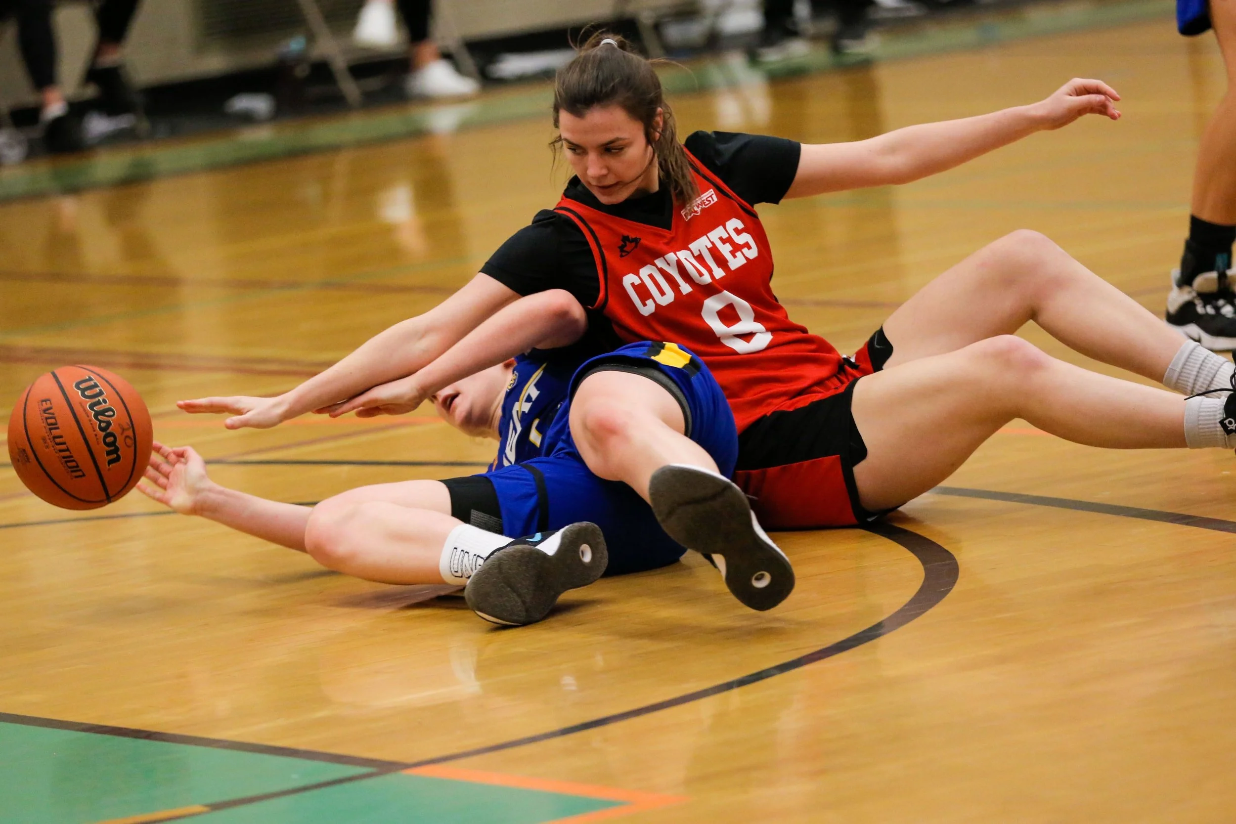 Two young female basketball players are on the floor scrambling for the basketball during a game, one wearing a red jersey with 'Coyotes' and the number 8, the other in a blue jersey. The player in red is on top of the player in blue, reaching for th