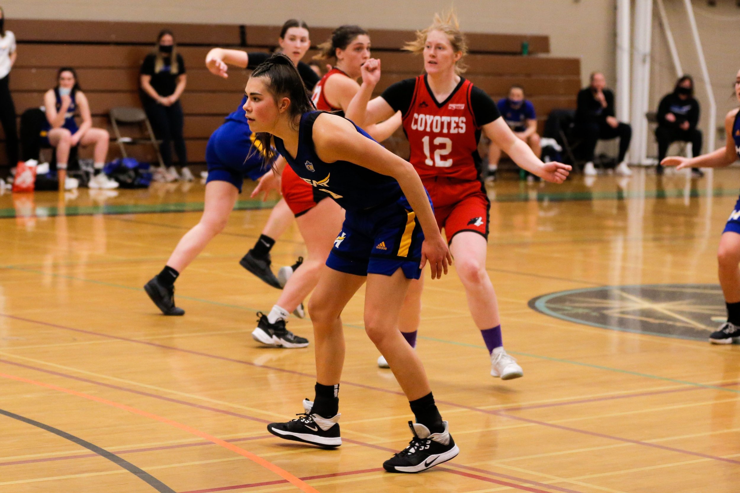 Women playing basketball indoors, one in a blue and yellow uniform and another in a red uniform with 'COYOTES' and number 12, during a game.