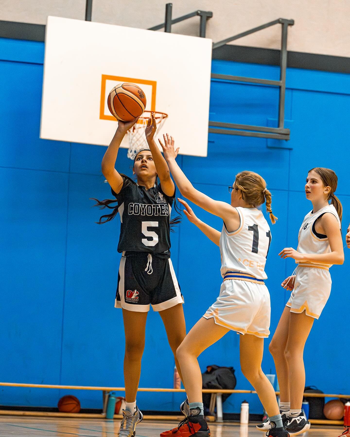 U14 Girls in Penticton 

📸 @itsraidenphotography 

#basketball #games #penticton #compete #u14girls #hustle #juniorcoyotesbasketball