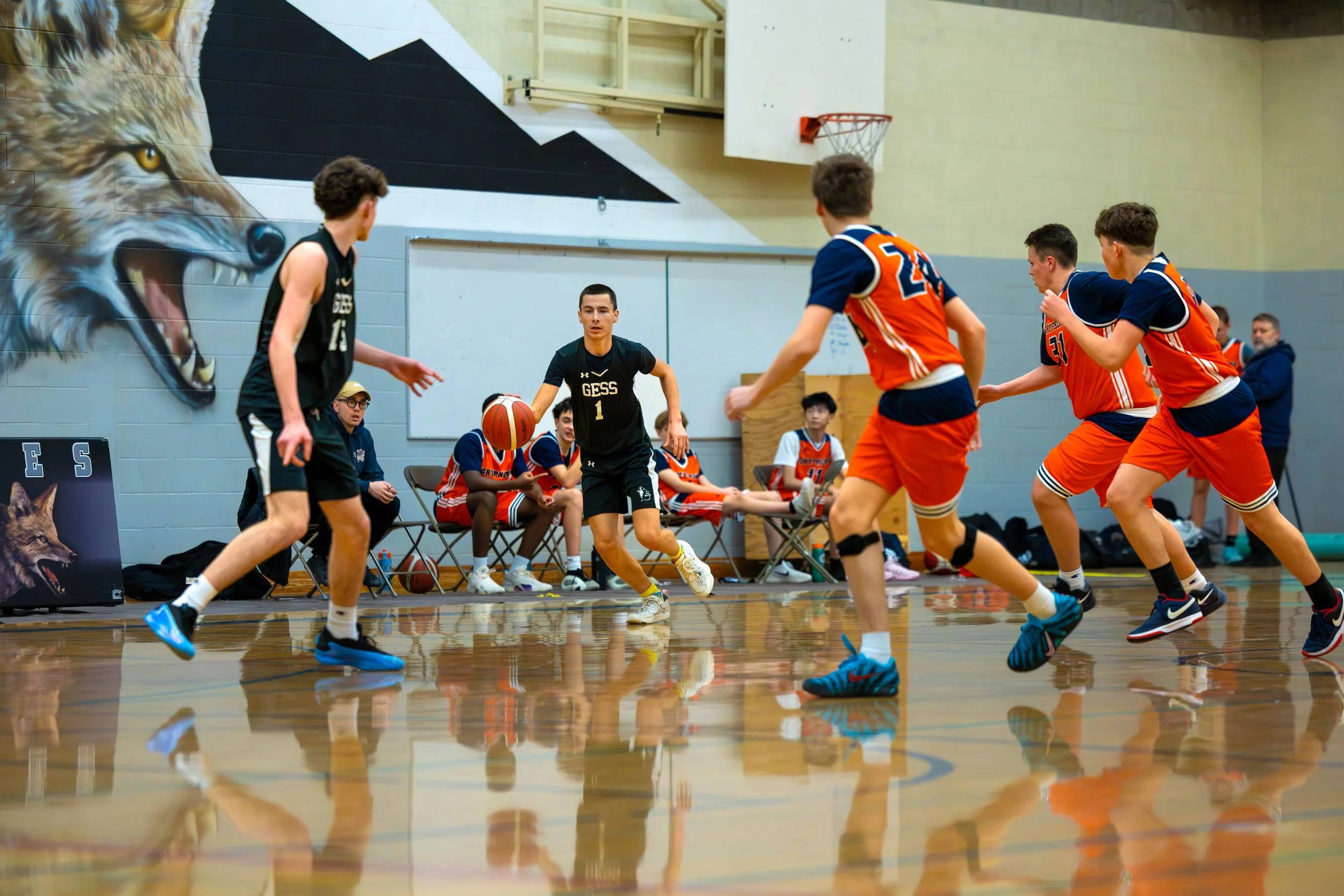 Youth basketball game with players in black and orange uniforms on indoor court, team benches in background, wolf mural on wall.