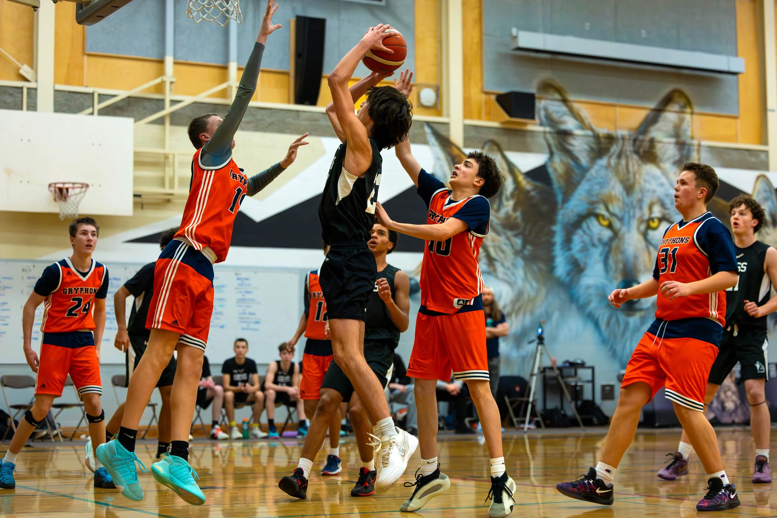 Young boys playing basketball indoors, some in orange and navy uniforms, others in black uniforms, with a mural of a wolf in the background.