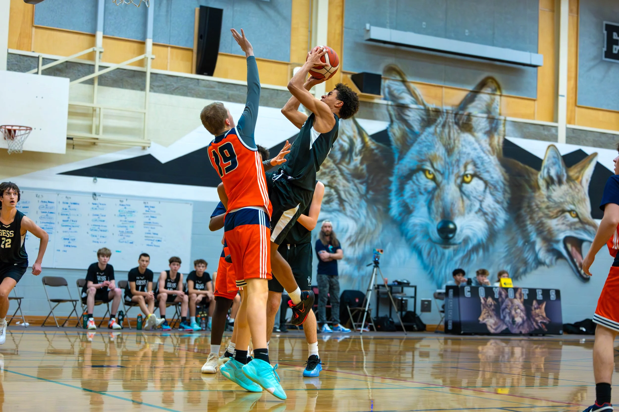 Young boys playing basketball in a gymnasium with a large wolf mural on the wall.
