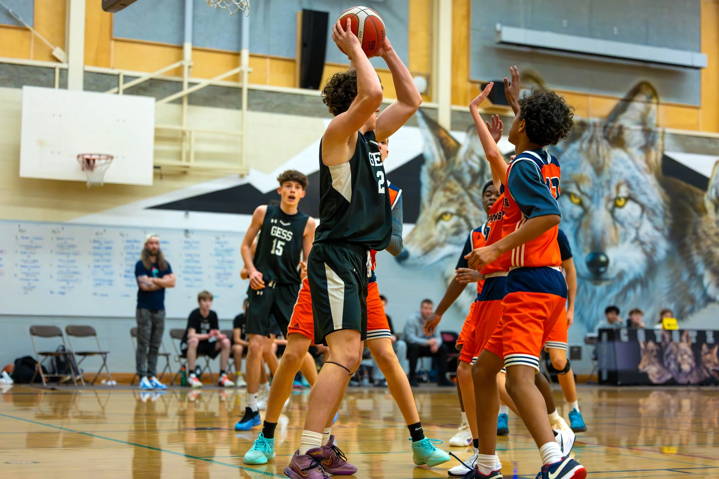 A youth basketball game in progress with players wearing black and orange jerseys, one player holding the basketball above their head, inside a gym with a mural of a wolf on the wall.