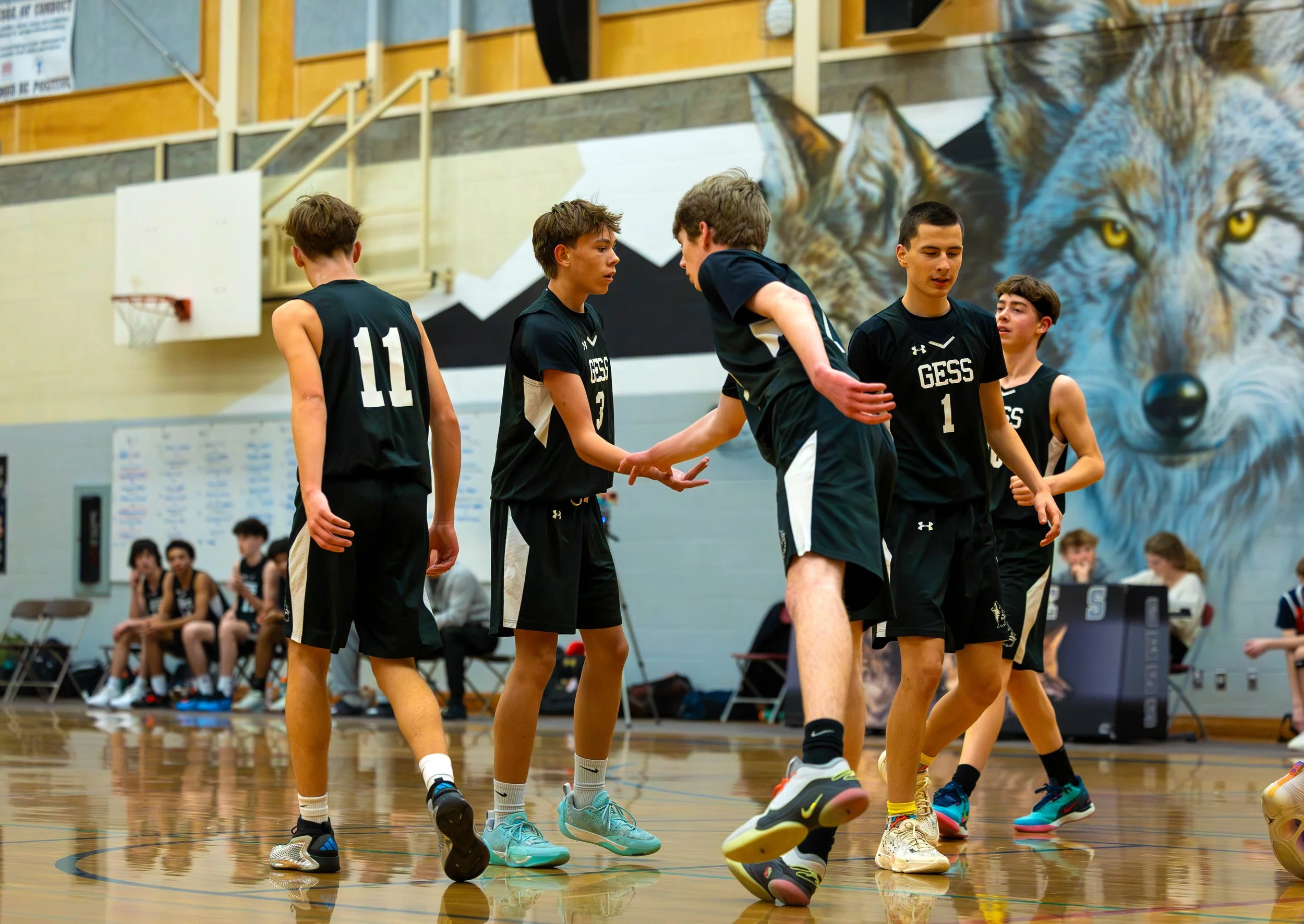 Young basketball players in black uniforms on an indoor court, with some sitting on the bench in the background and a large mural of a wolf on the wall.