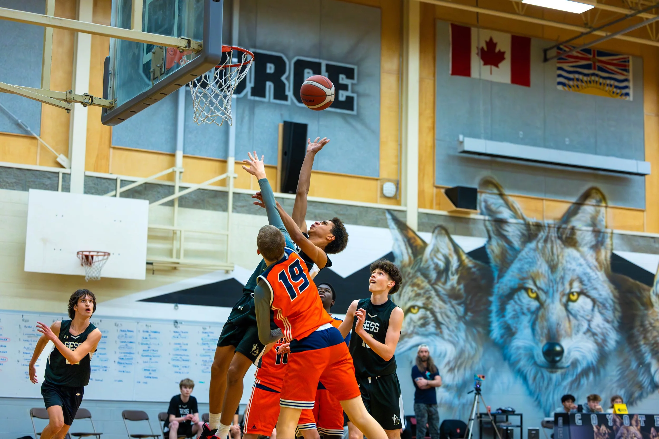 Youth basketball game in an indoor gym, players jumping for a rebound near the hoop, with a wolf mural on the wall behind them.
