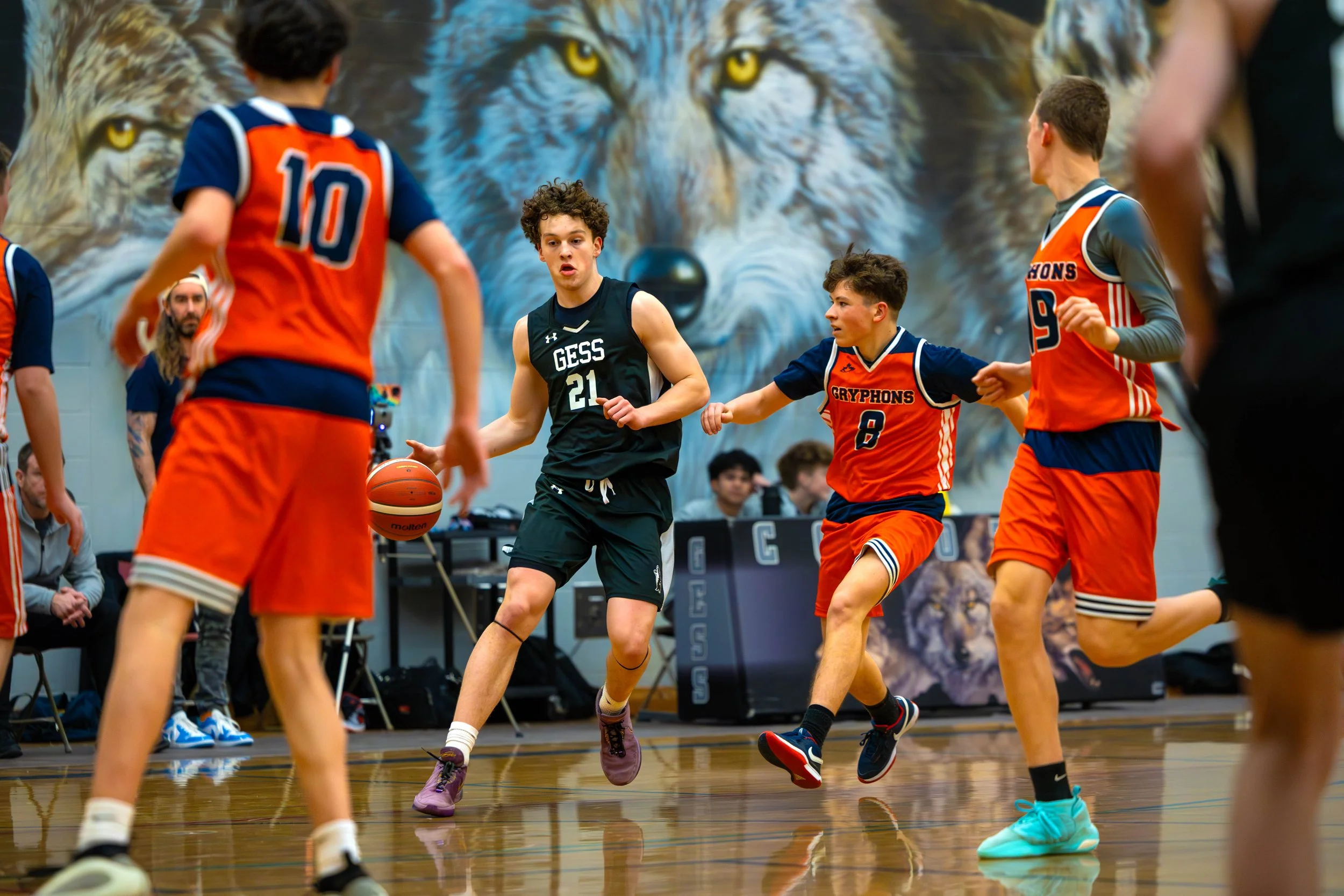 Young basketball players in action during a game, with one player dribbling the ball while others defend, inside a gymnasium with a large mural of wolves on the wall.