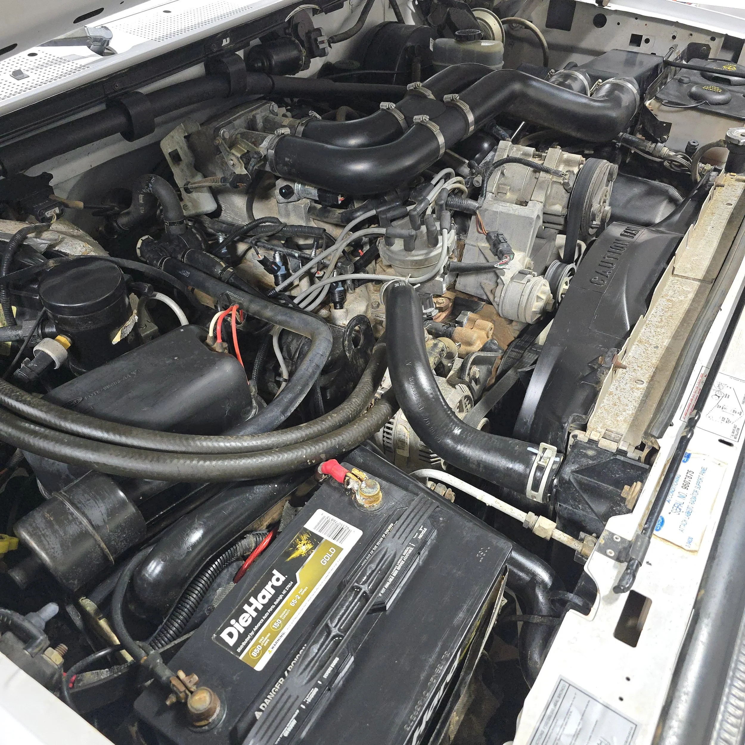 20260910_144350.jpg