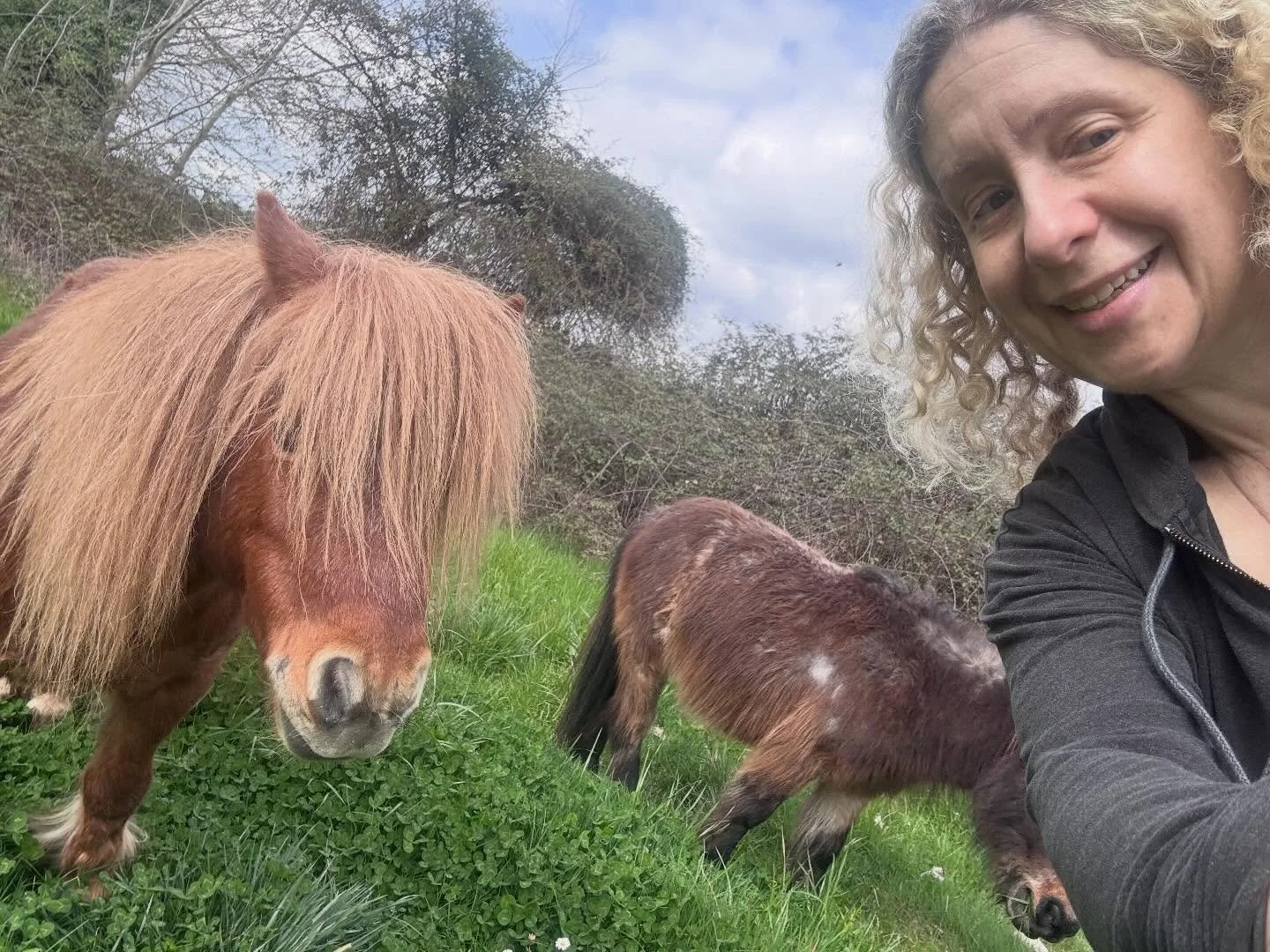My besties - who escaped their paddock by chewing away the wire, to gorge on as much fresh grass as they could! May we all be brave (and strong- teethed enough) to find our own personal freedom!