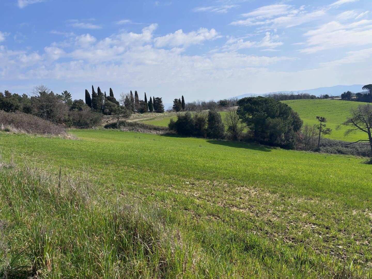 Packing up after two weeks at beautiful @borgopignano on a Moritz/Heyman Artist Residency through @royaldrawingschool during an exquisite Tuscan spring. I had great joy looking at the beautiful scenery, and even more  excitement plotting where it wil