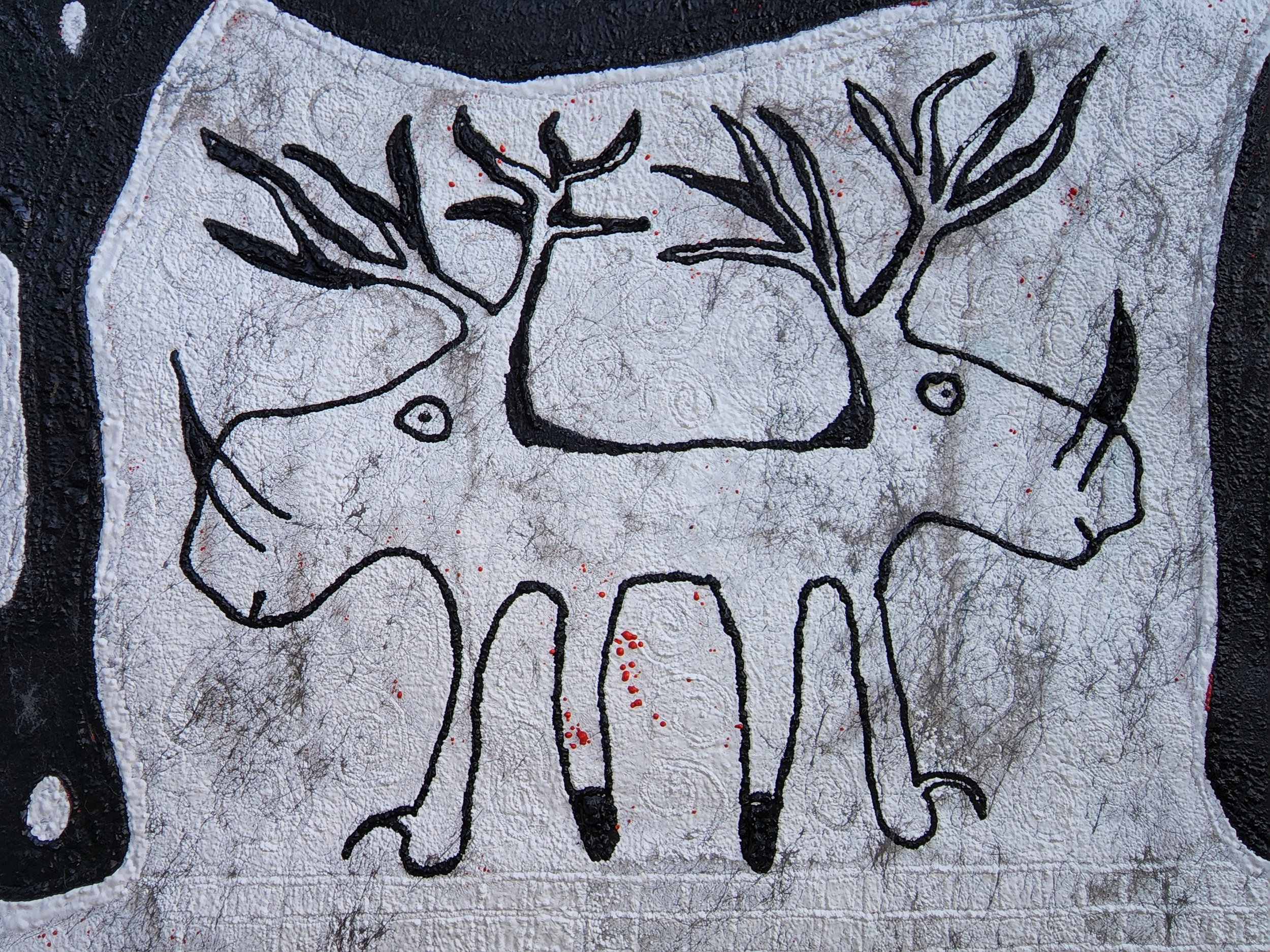 20240123_094817.jpg