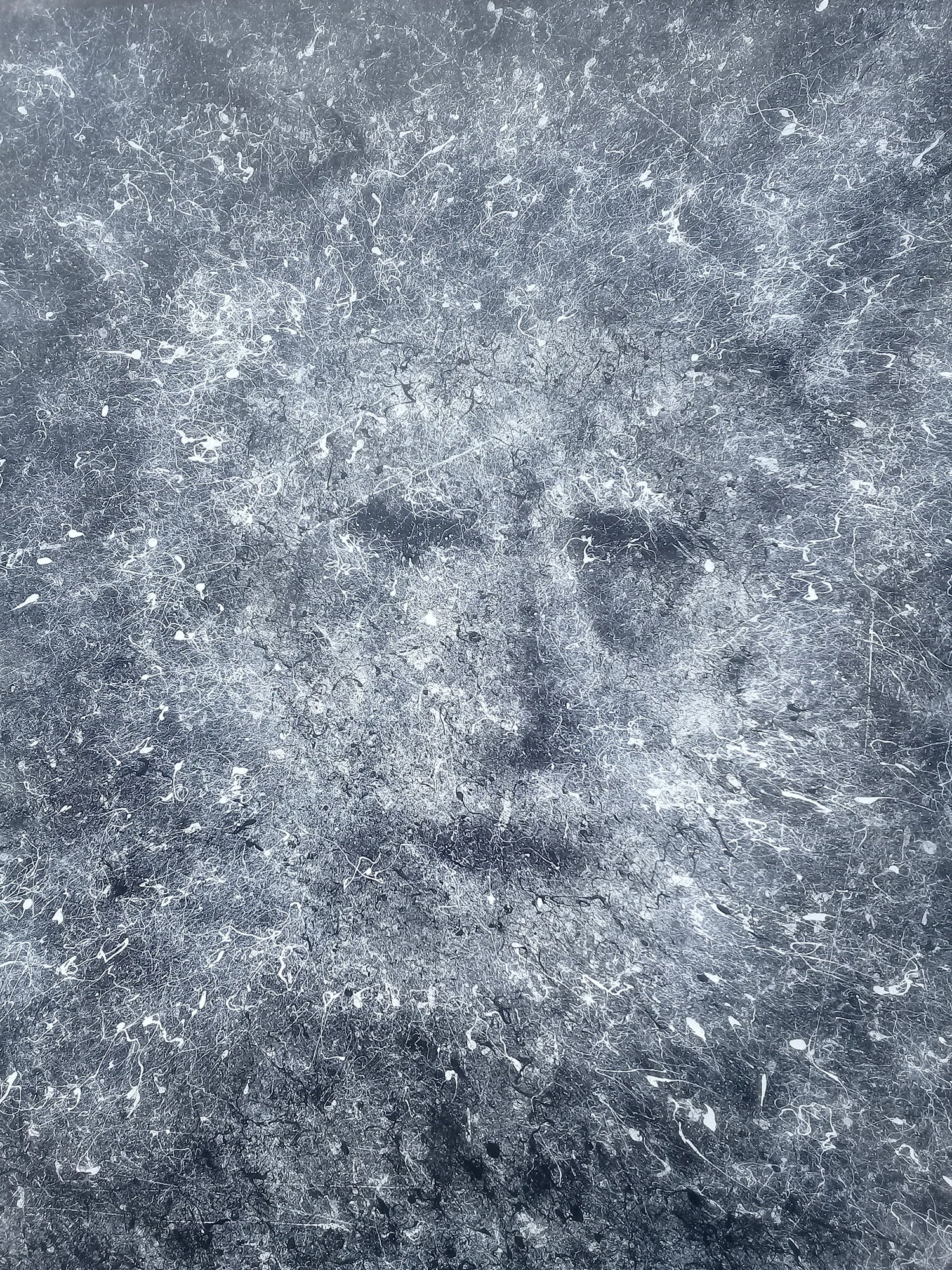 galaxy sq.jpg