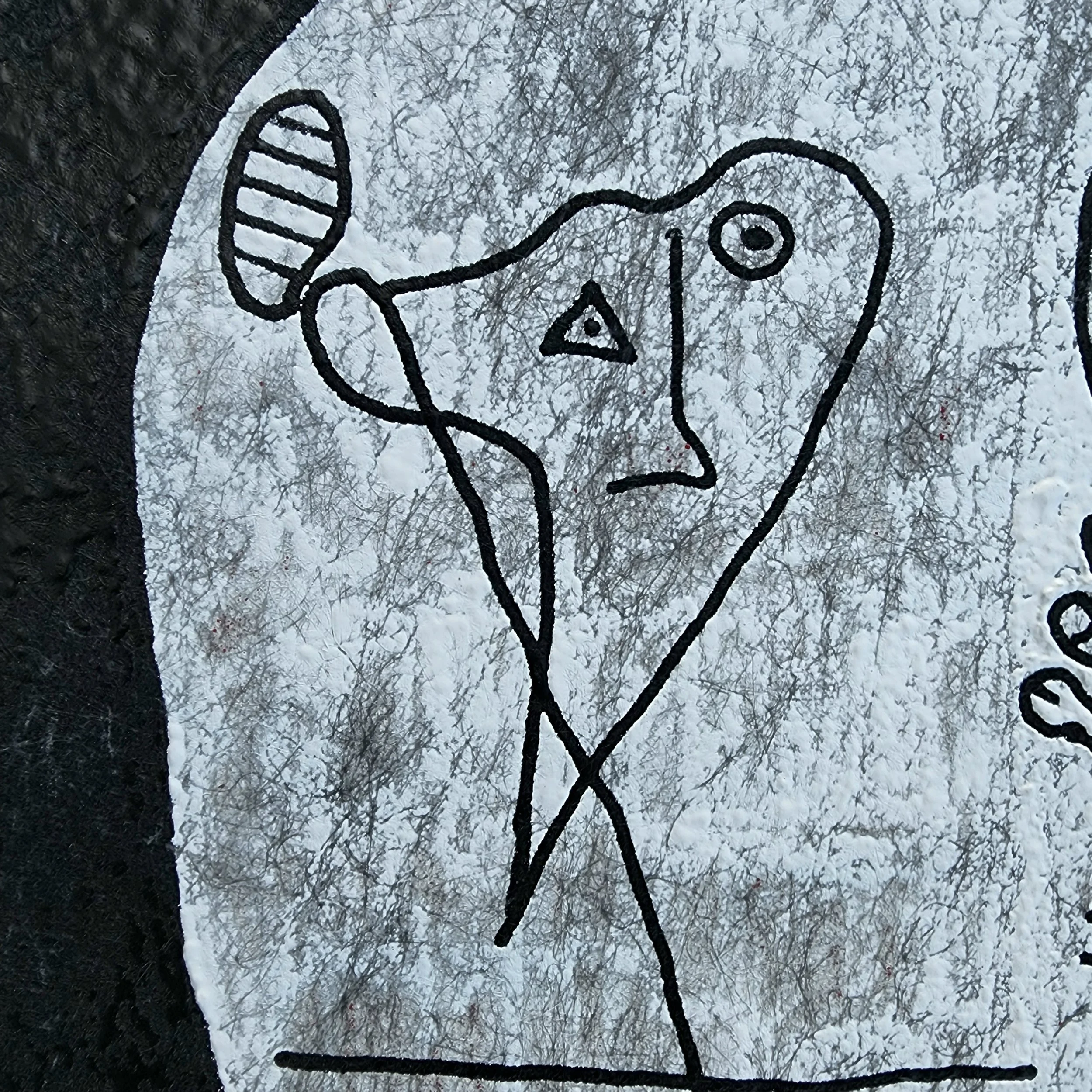 20220429_185528.jpg