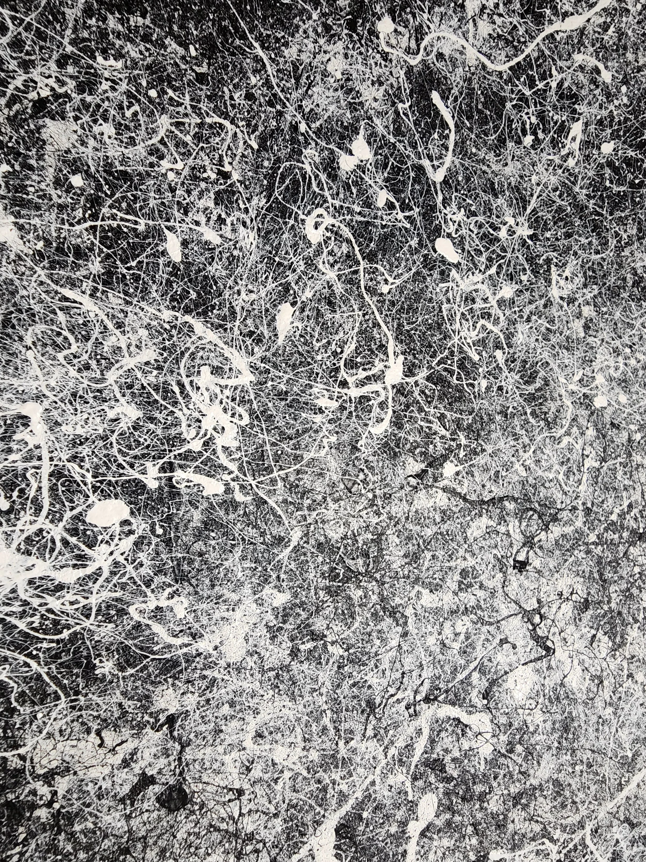 20240504_005353.jpg